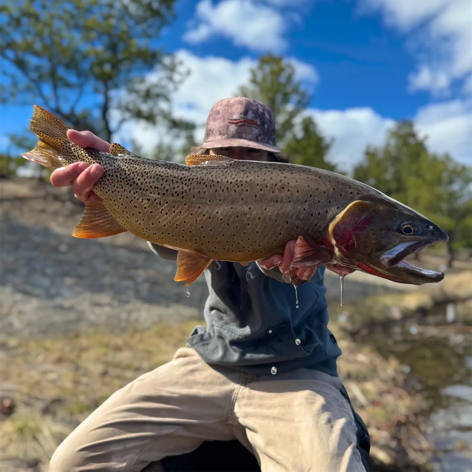 The most recent Cutthroat trout catches on Fishbrain