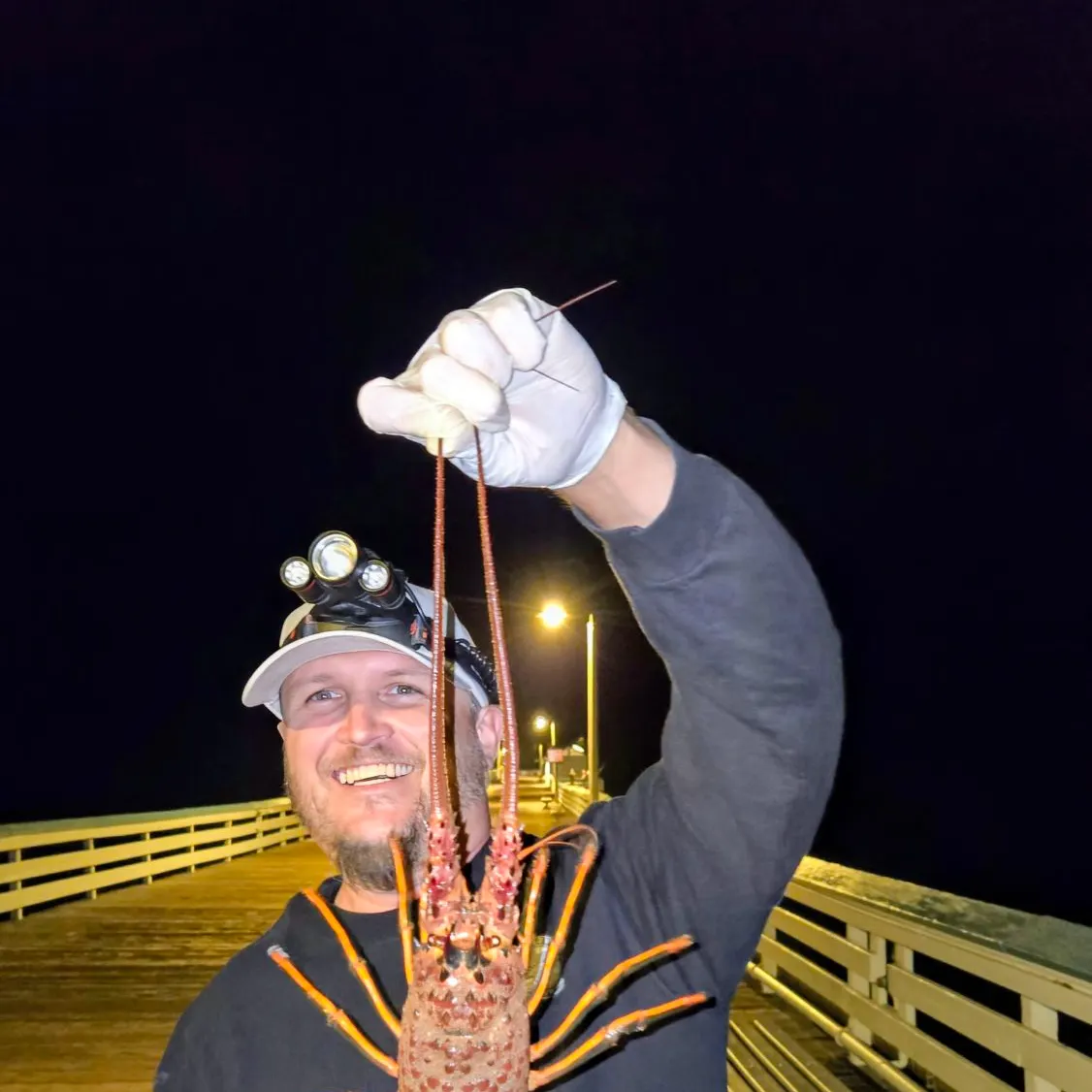 The most recent California spiny lobster catches on Fishbrain