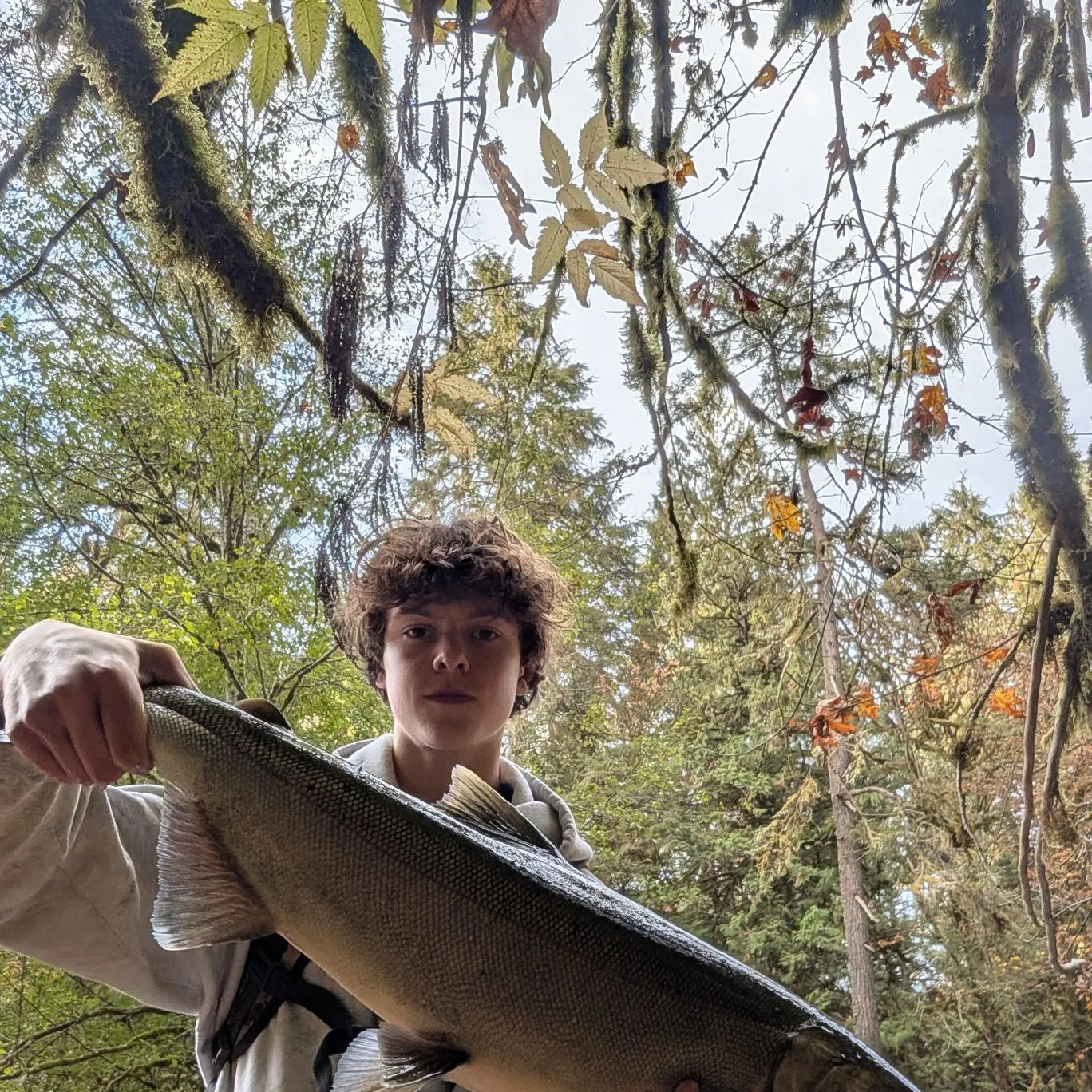 Coho salmon caught on Fishbrain