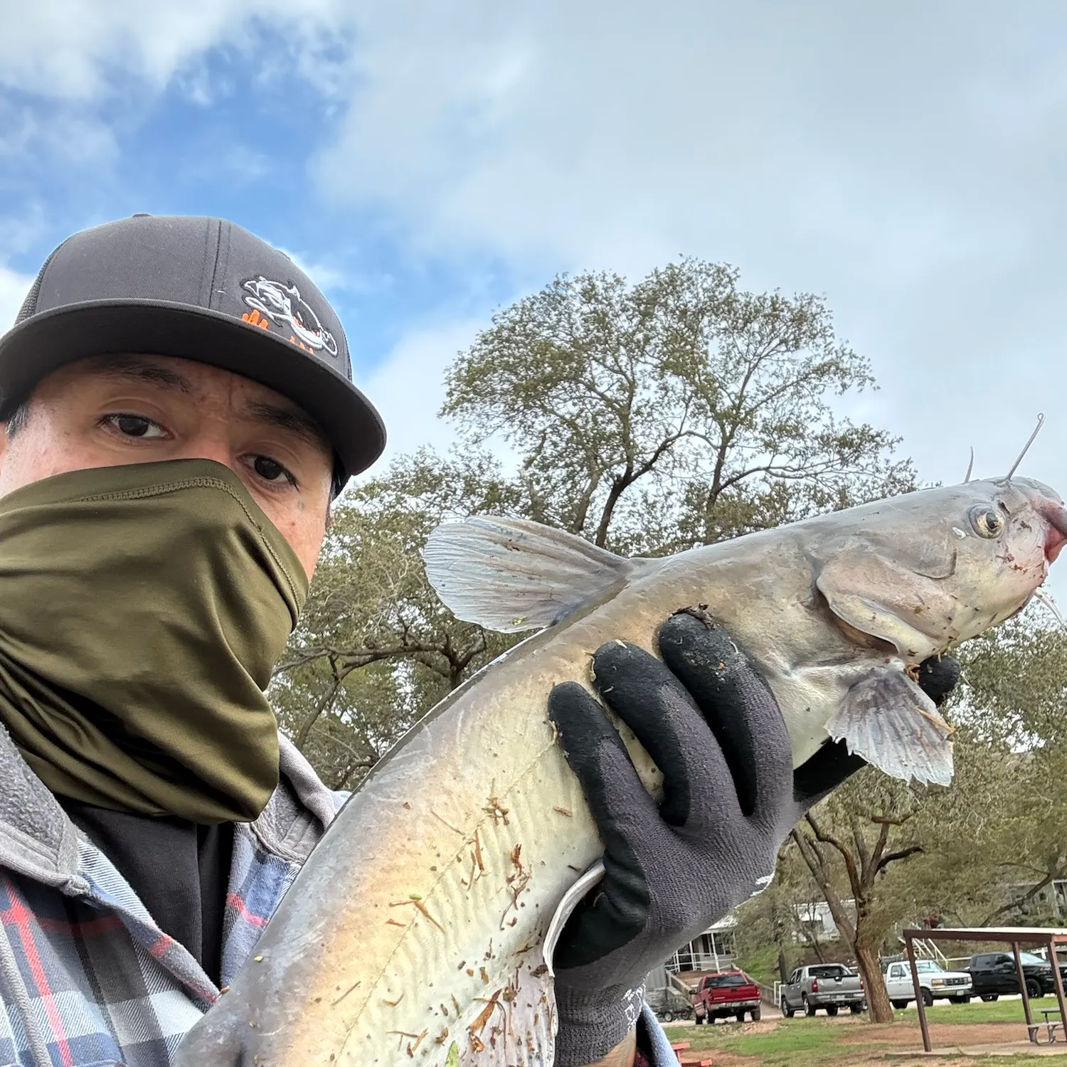 Channel catfish caught on Fishbrain