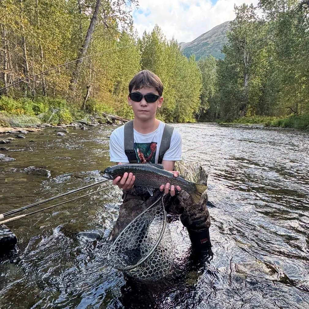 Rainbow trout caught on Fishbrain