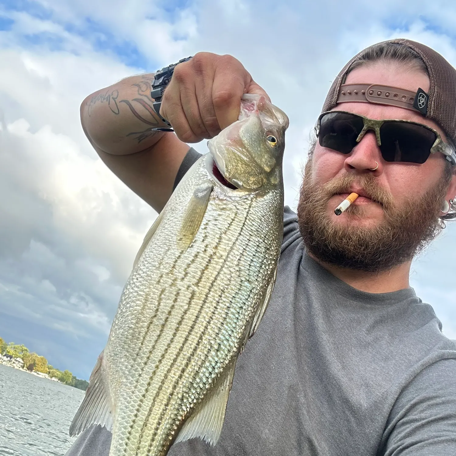 Wiper caught on Fishbrain