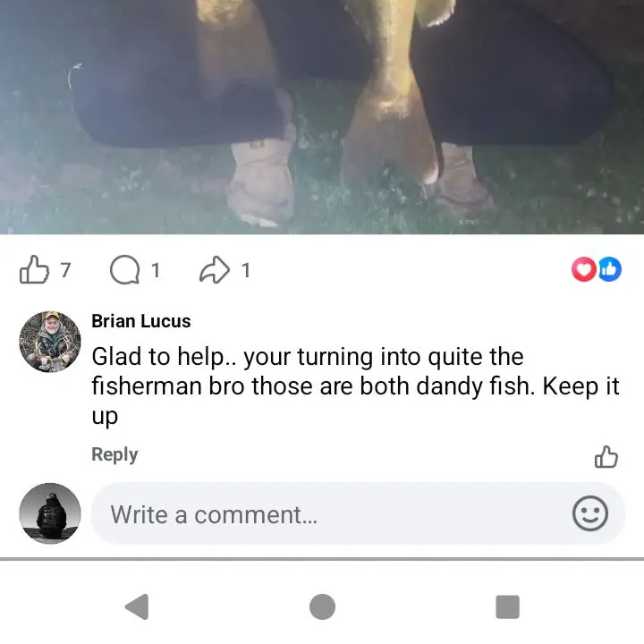 recently logged catches
