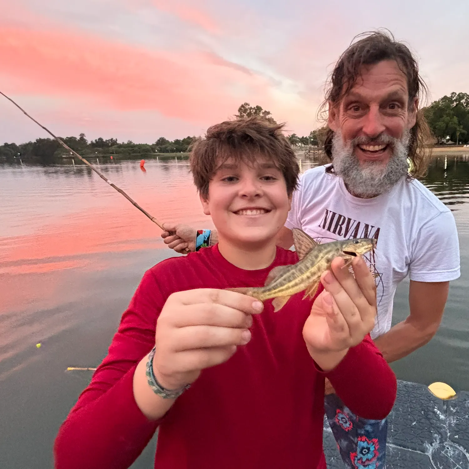 The most recent Spotted pimelodus catches on Fishbrain