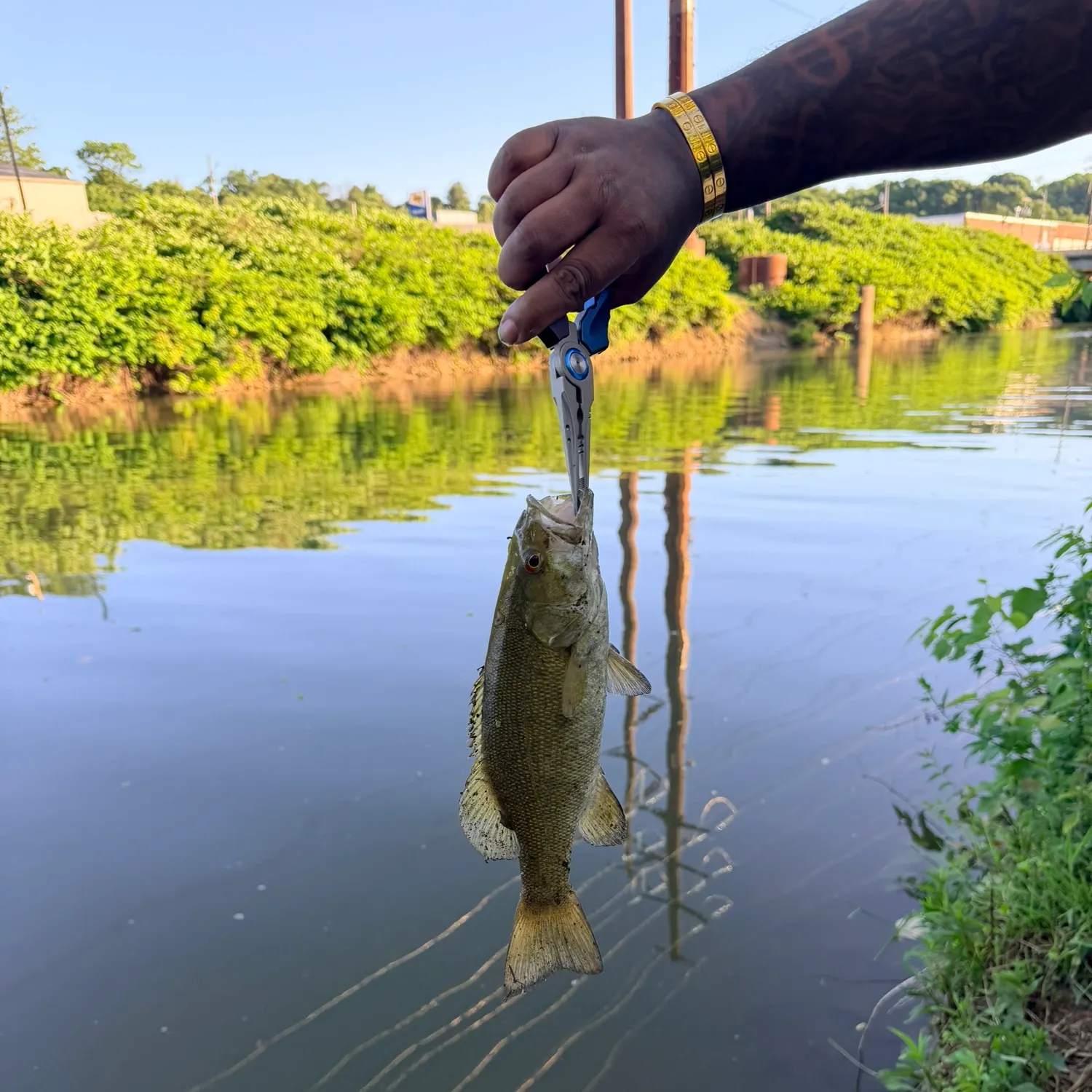 catch
