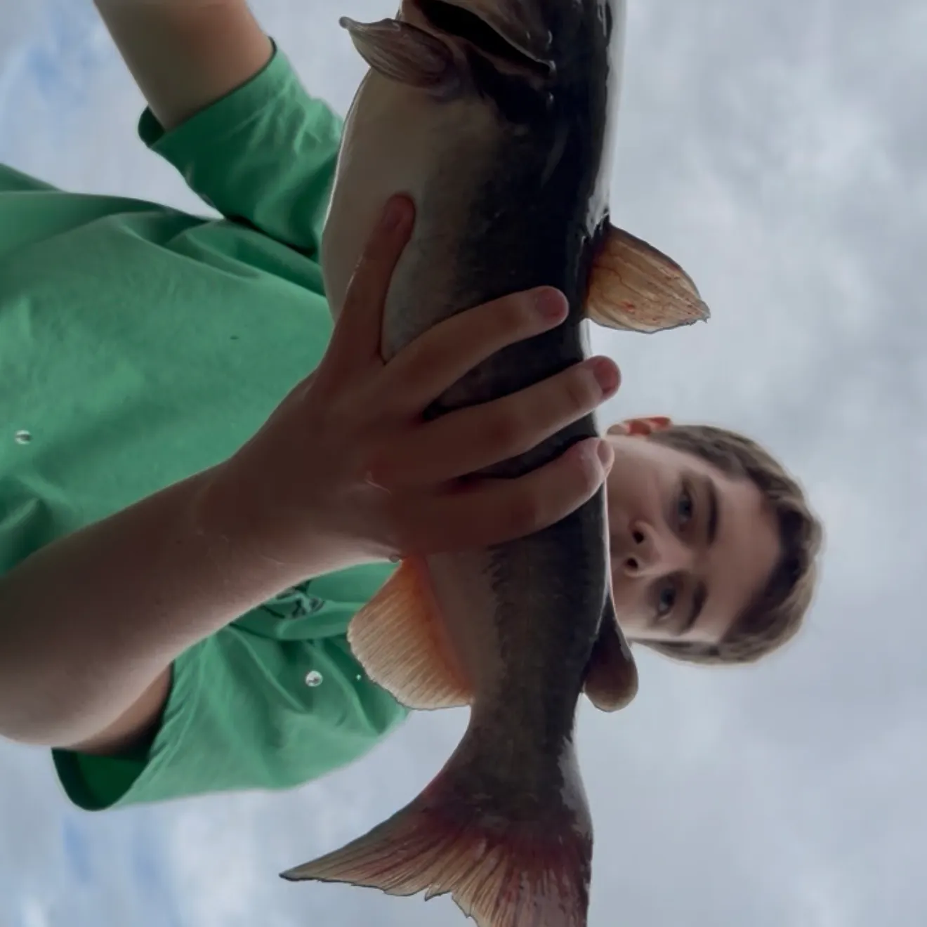 Black bullhead caught on Fishbrain