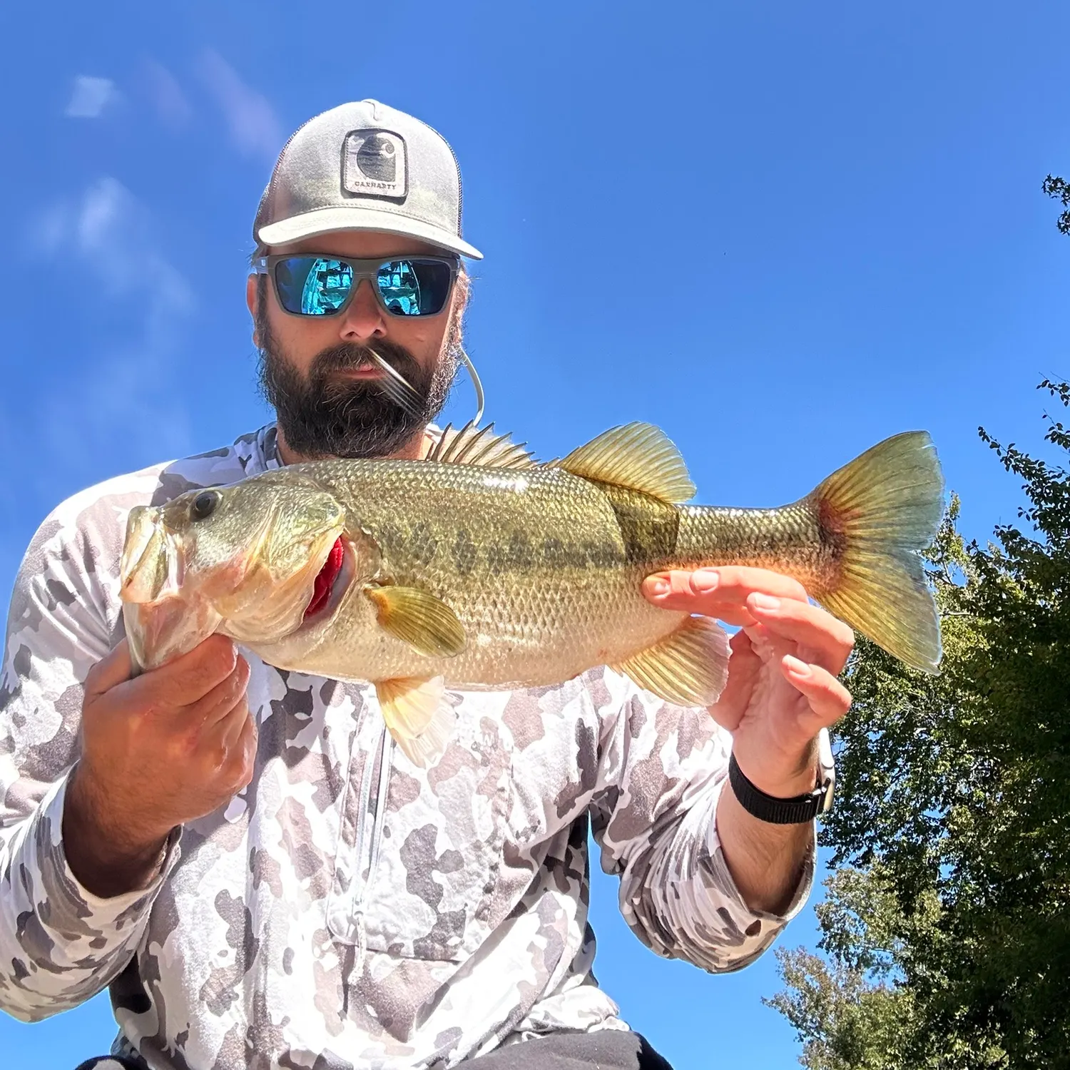 Largemouth bass caught on Fishbrain