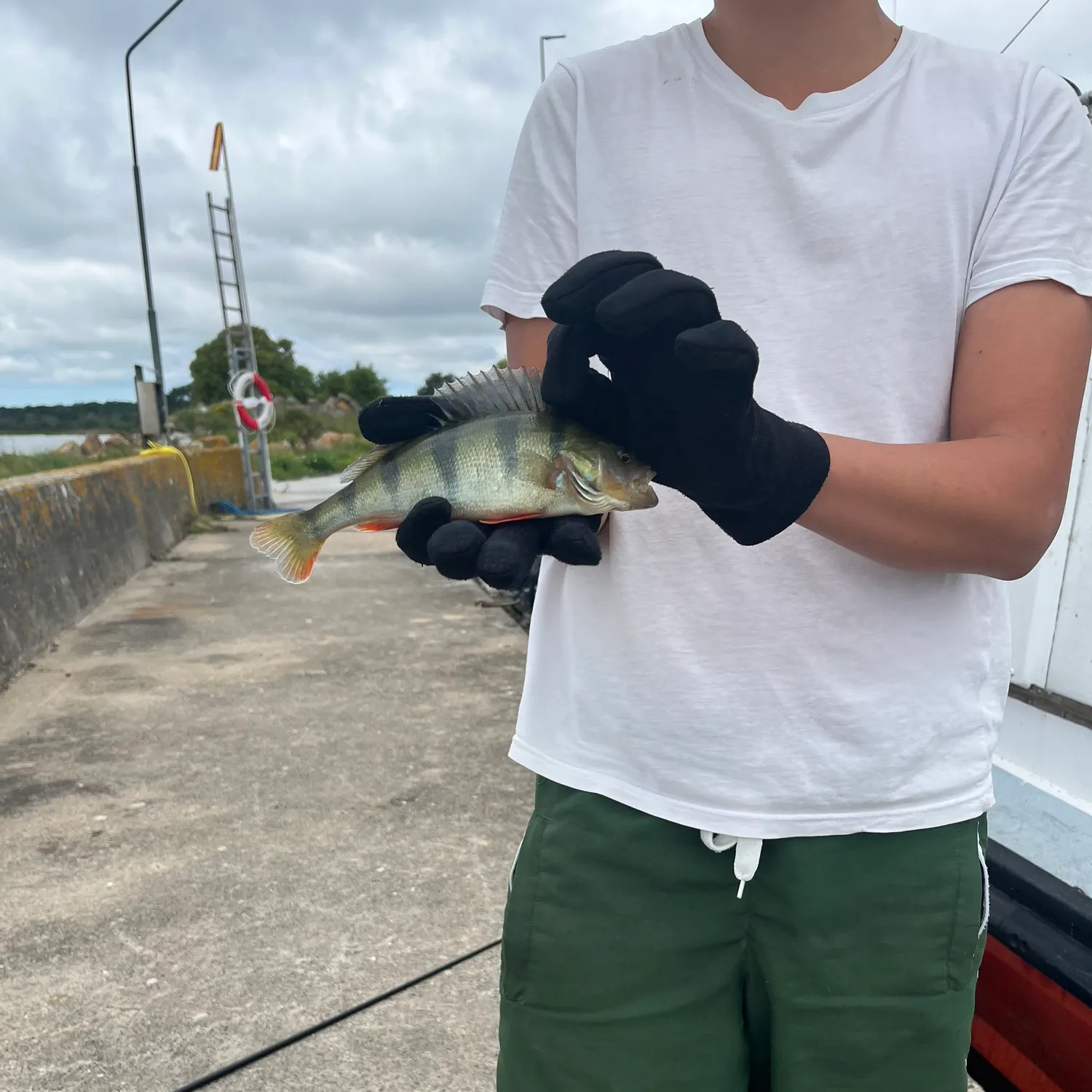catch