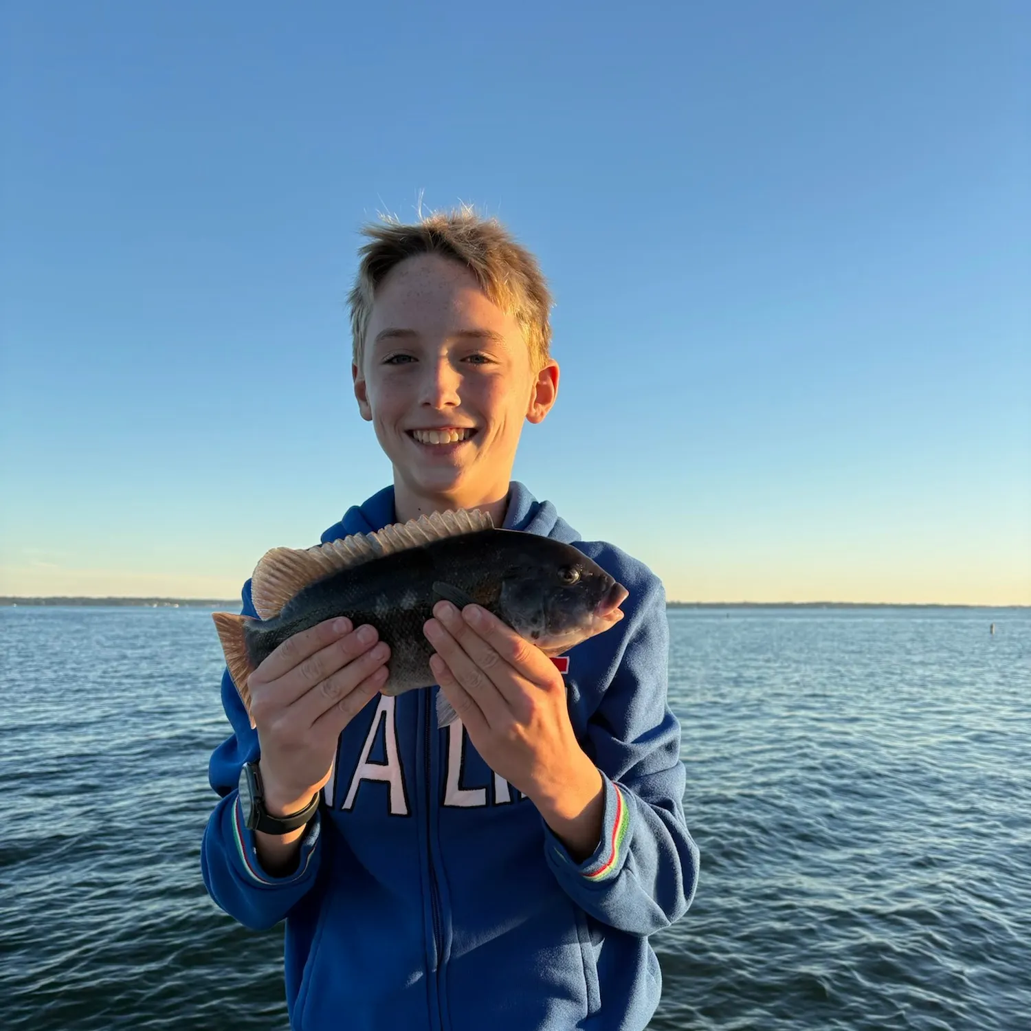 Tautog caught on Fishbrain