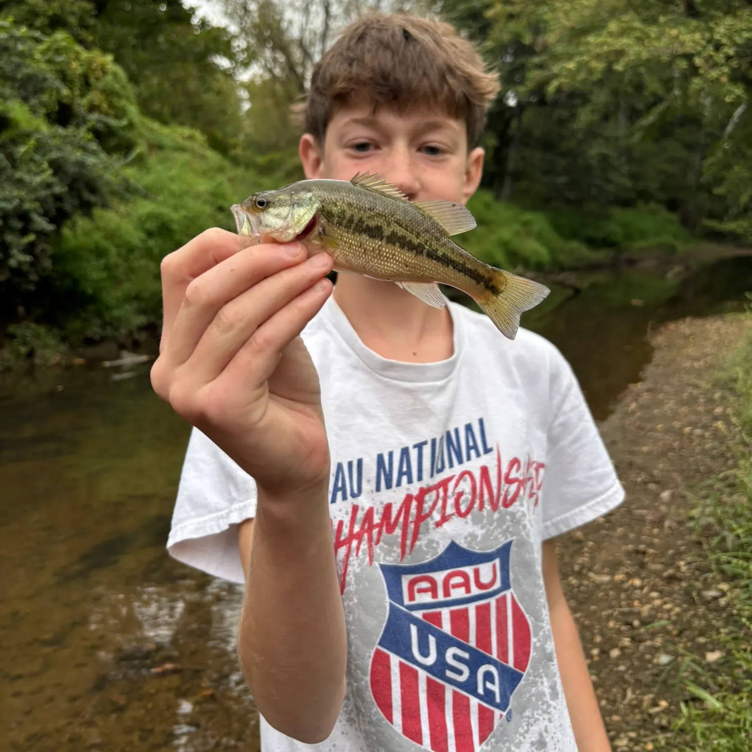 Spotted bass caught on Fishbrain