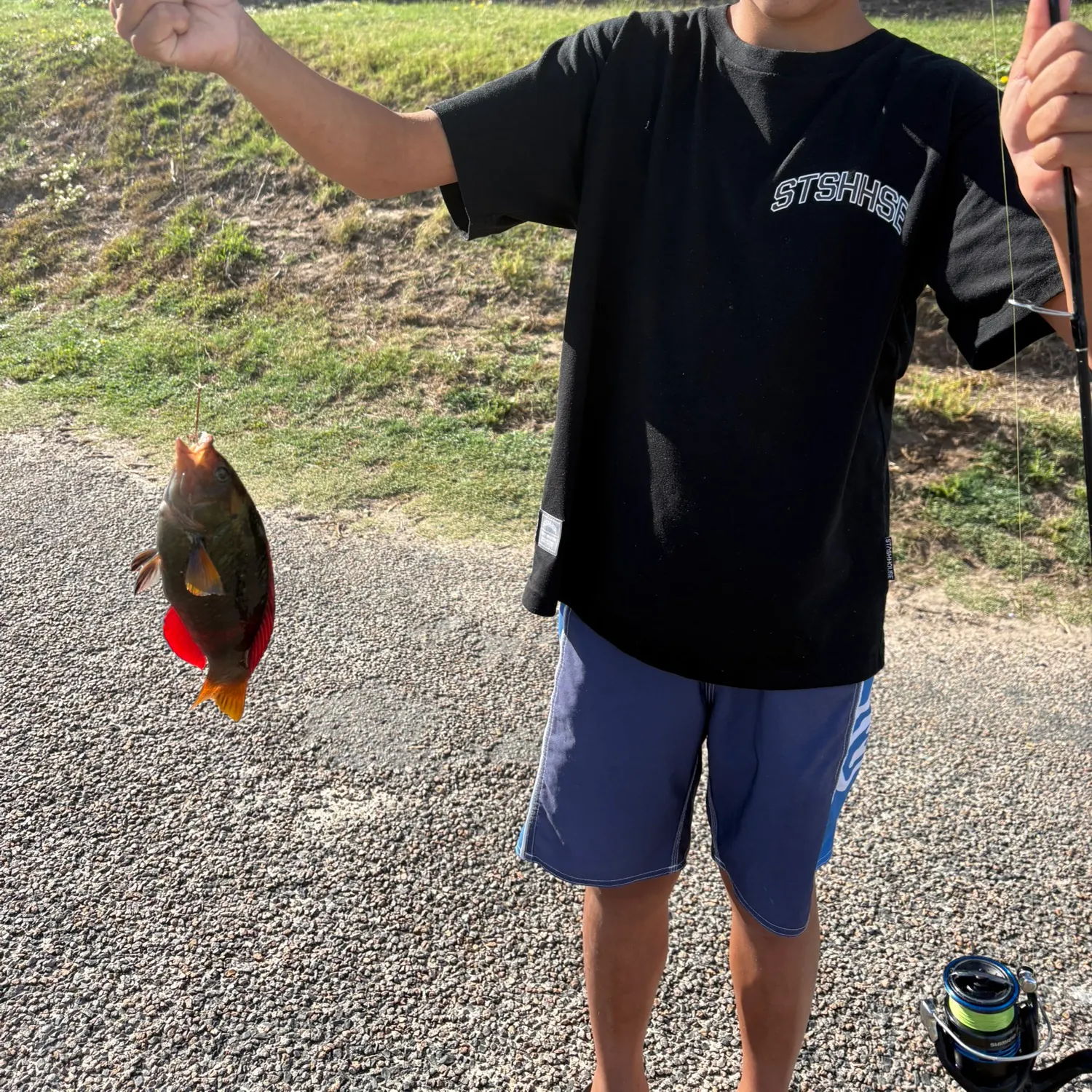 The most recent Crimsonband wrasse catches on Fishbrain