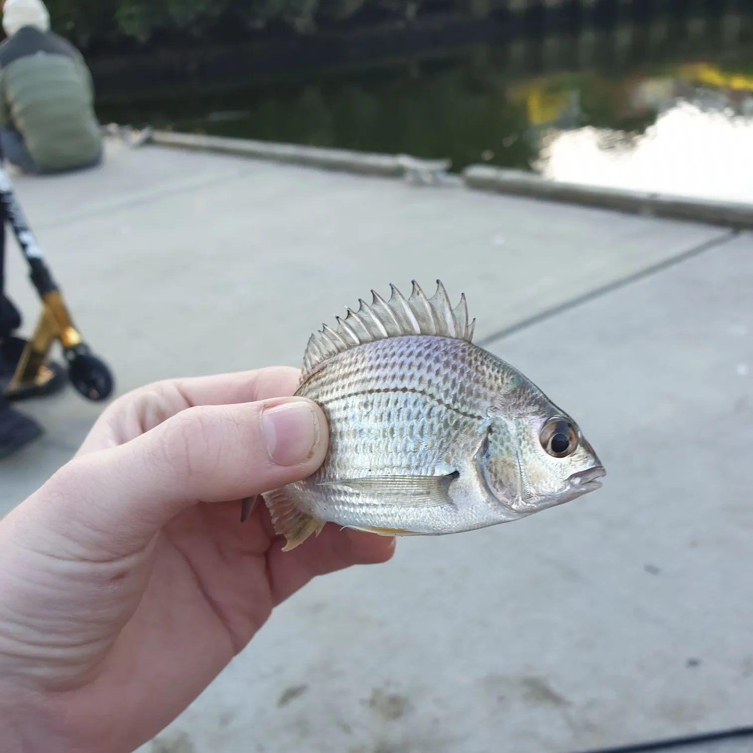 catch