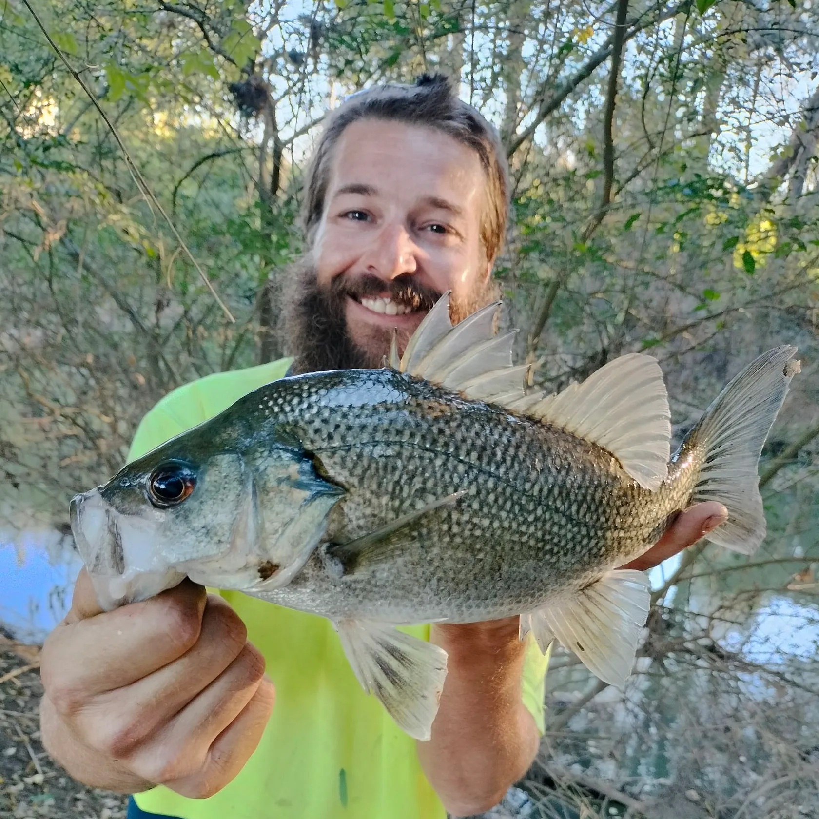 Australian bass caught on Fishbrain