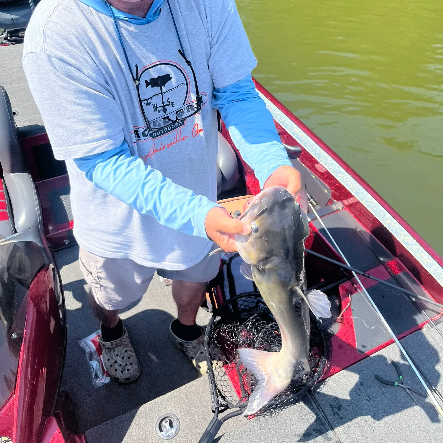 Channel catfish caught on Fishbrain