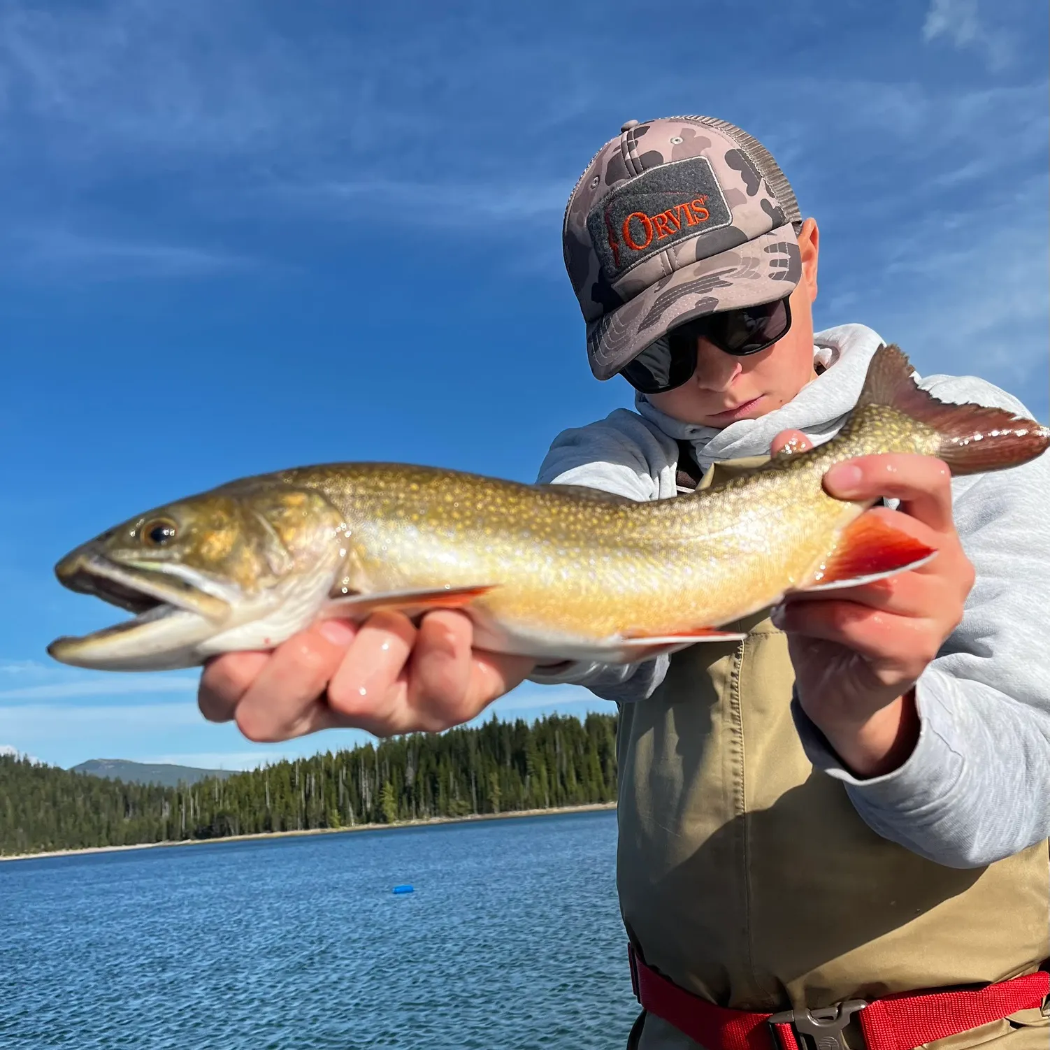 The most recent Brook trout catches on Fishbrain