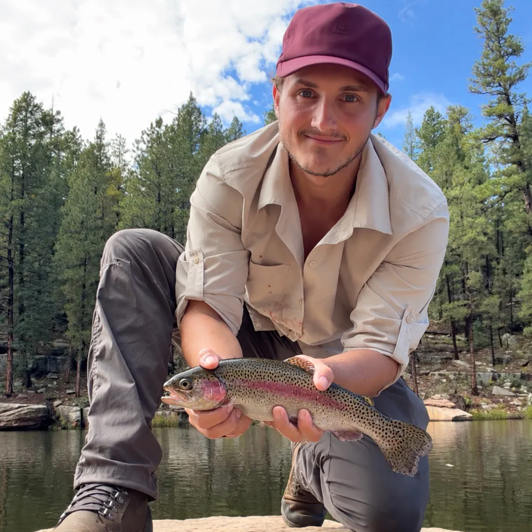 Rainbow trout caught on Fishbrain