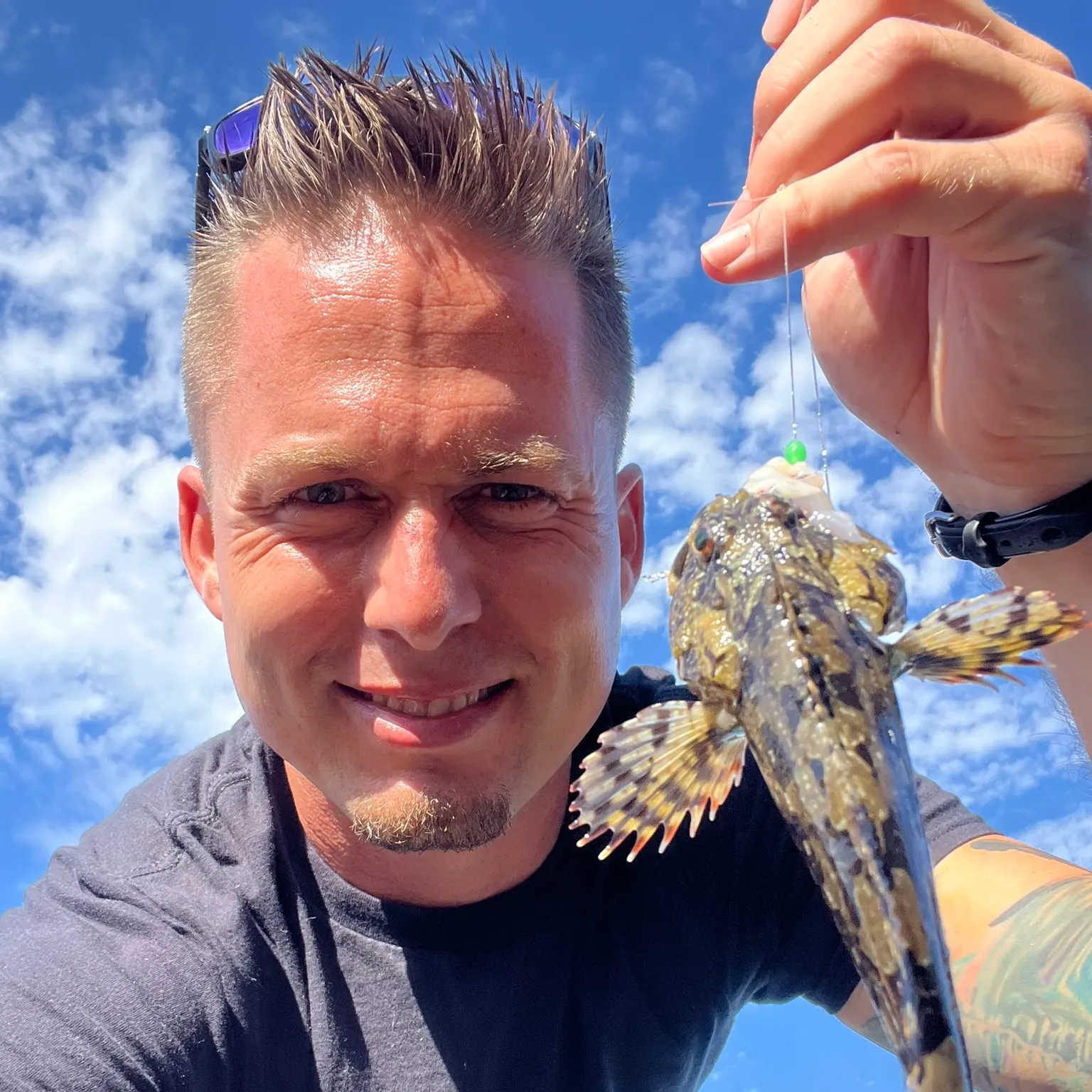 The most recent Cabezon catches on Fishbrain