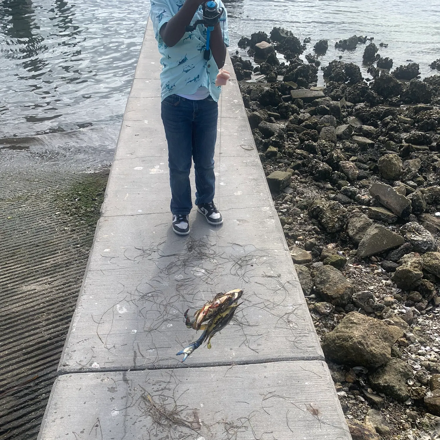 catch