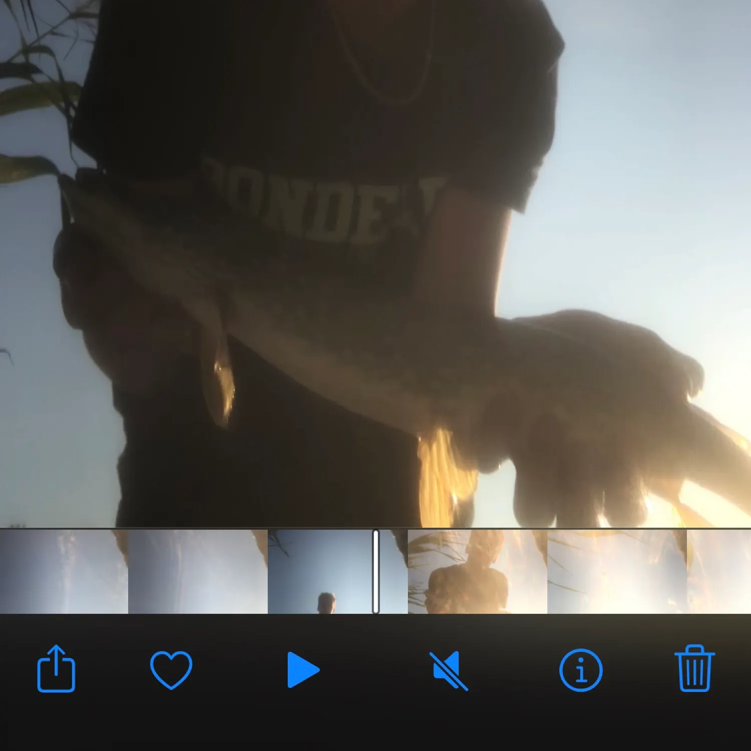 recently logged catches