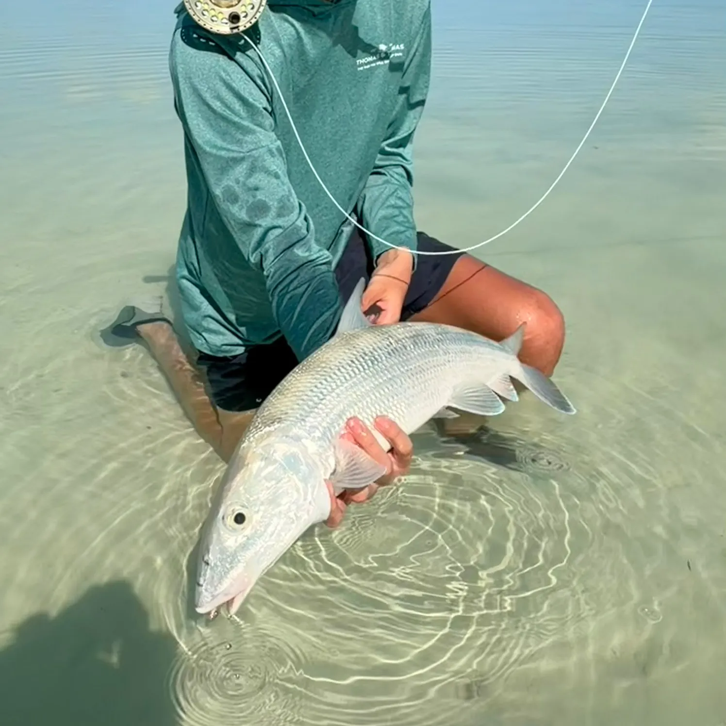 The most recent West Atlantic bonefish catches on Fishbrain