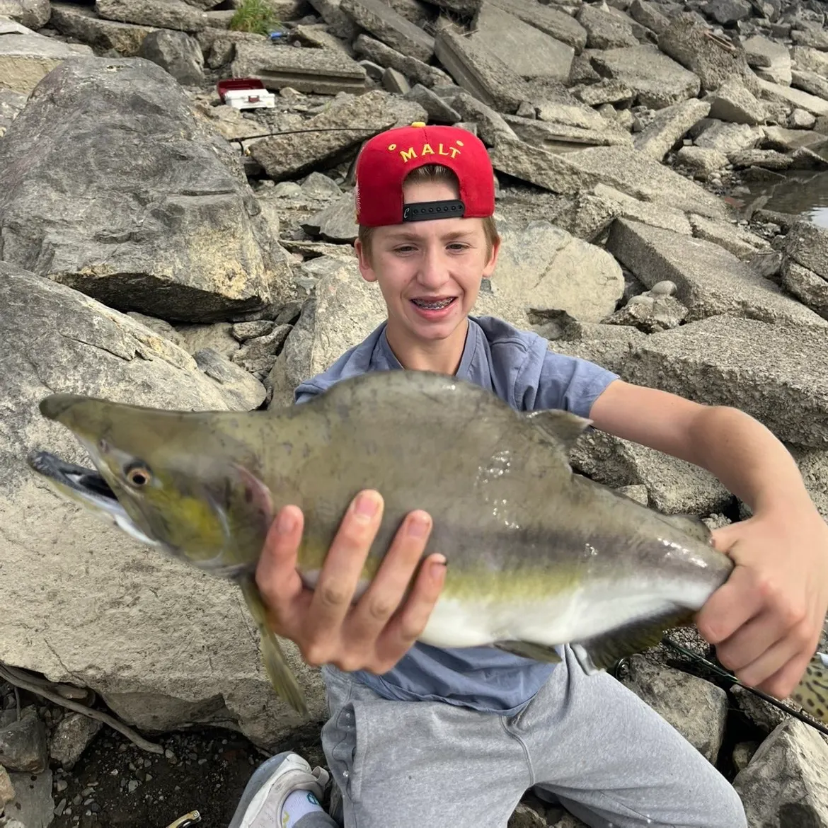 The most recent Pink salmon catches on Fishbrain