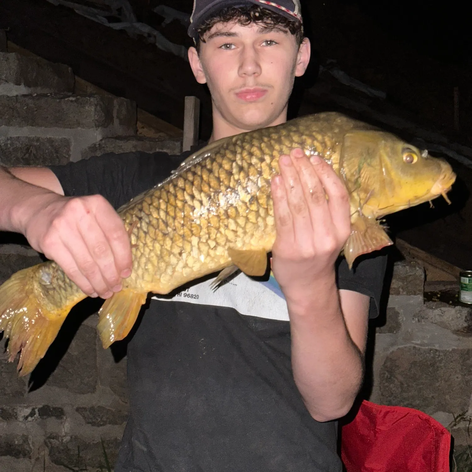 Common carp caught on Fishbrain