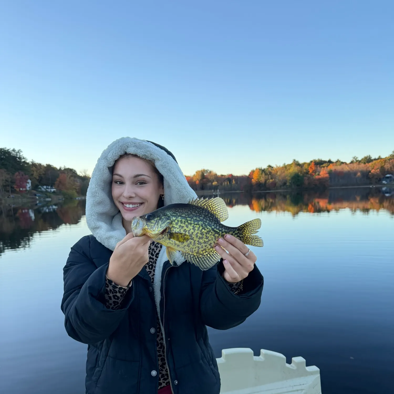 Black crappie caught on Fishbrain