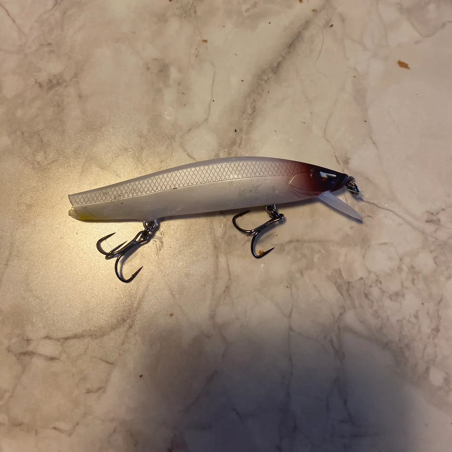 Brown trout caught on Fishbrain