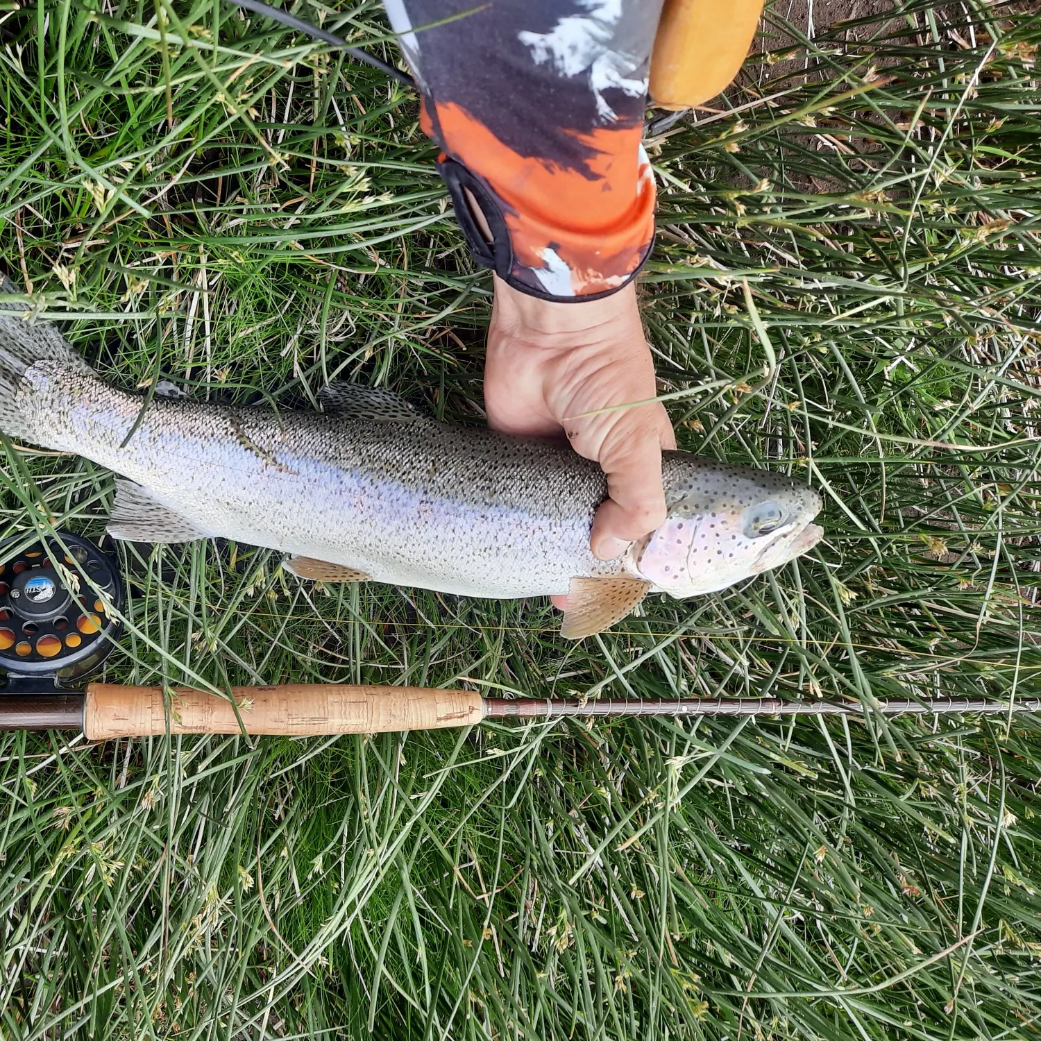 ᐅ Río Pichi Neuquén fishing reports🎣• Neuquén, Argentina fishing