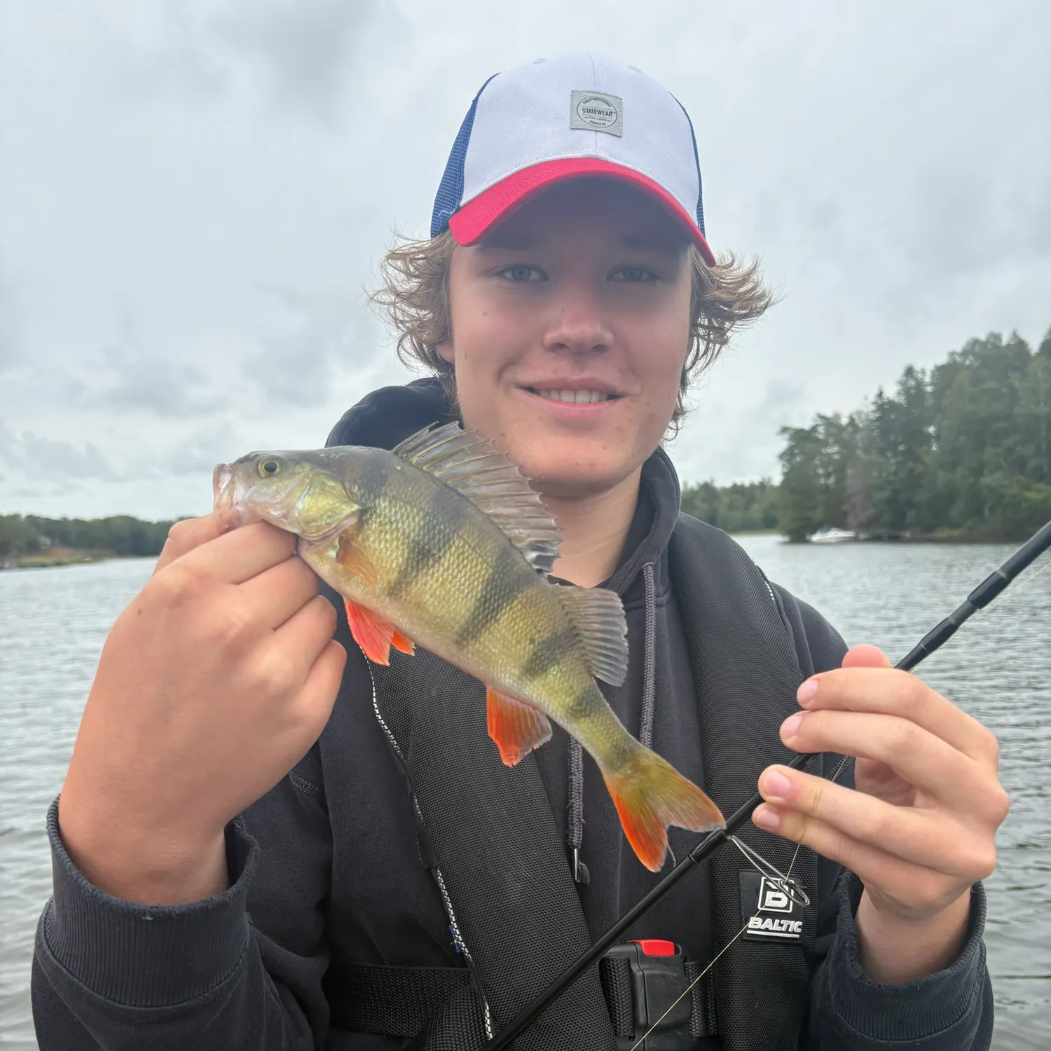 European perch caught on Fishbrain