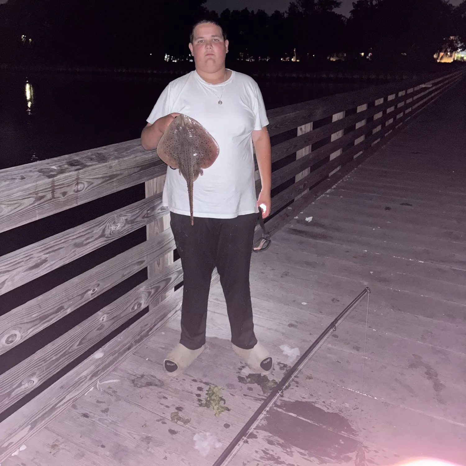 The most recent Starry ray catches on Fishbrain