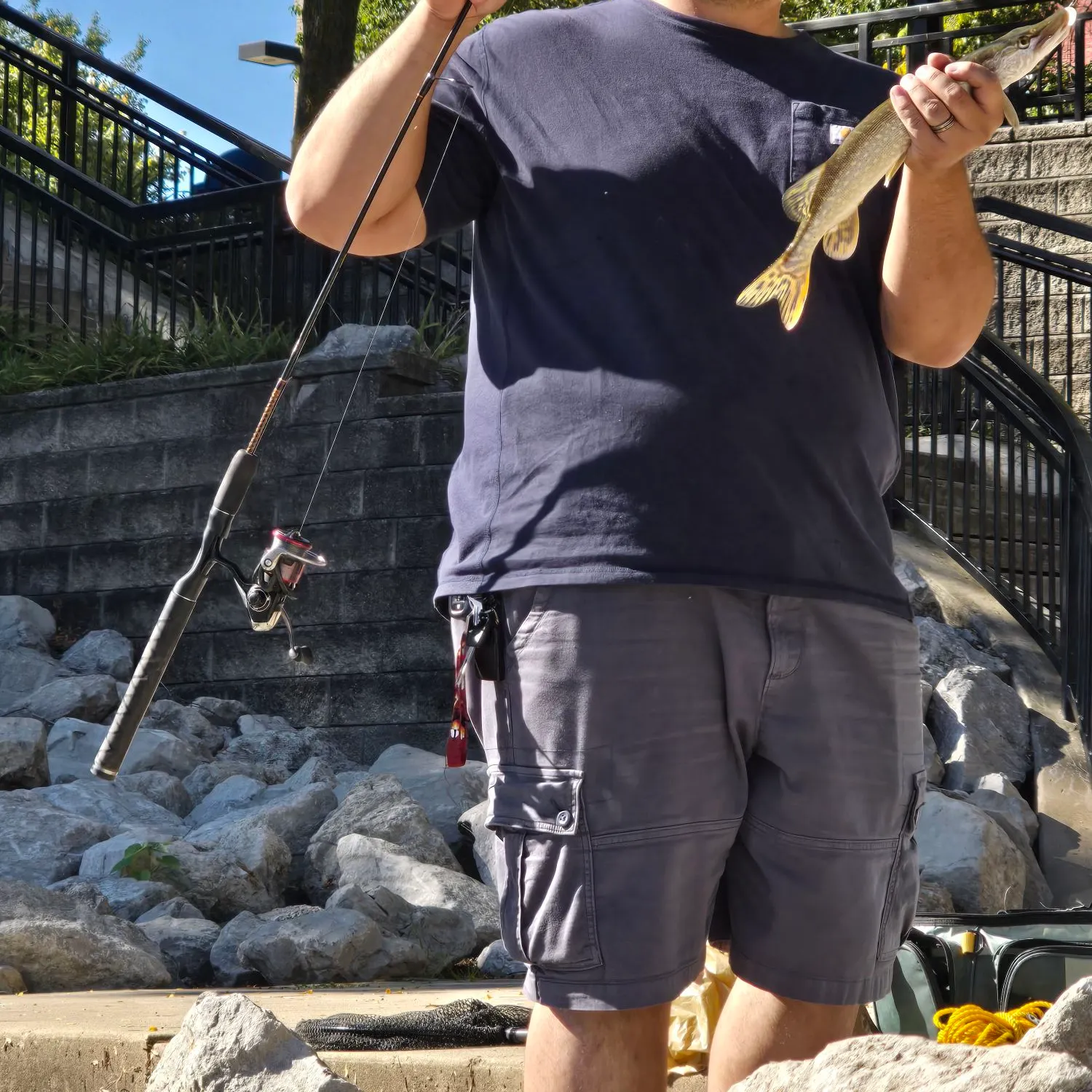 Northern pike caught on Fishbrain