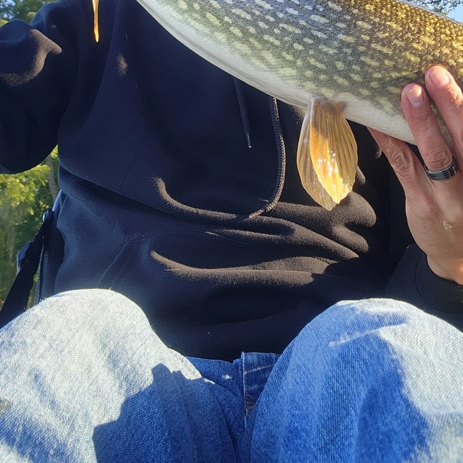 Northern pike caught on Fishbrain
