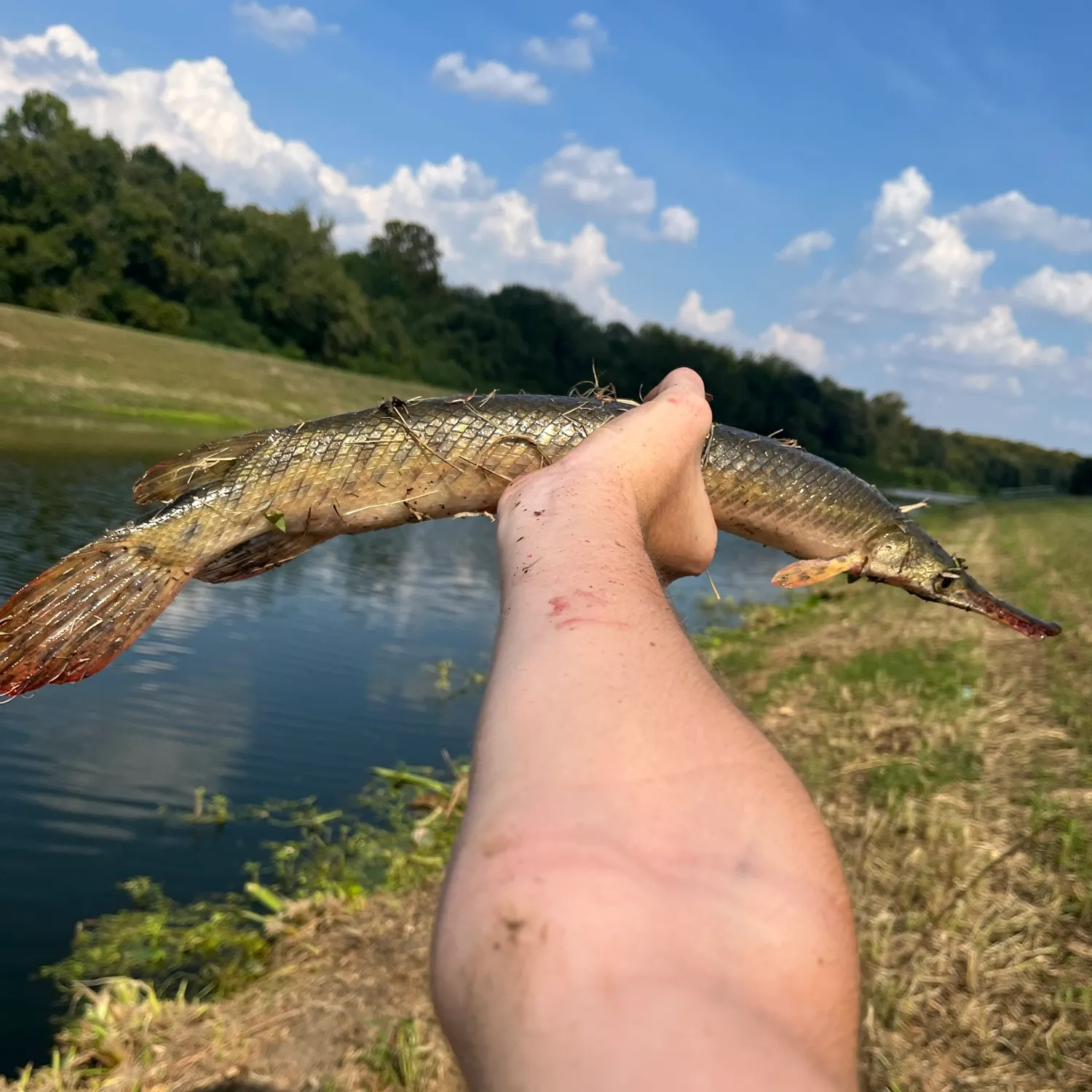 catch