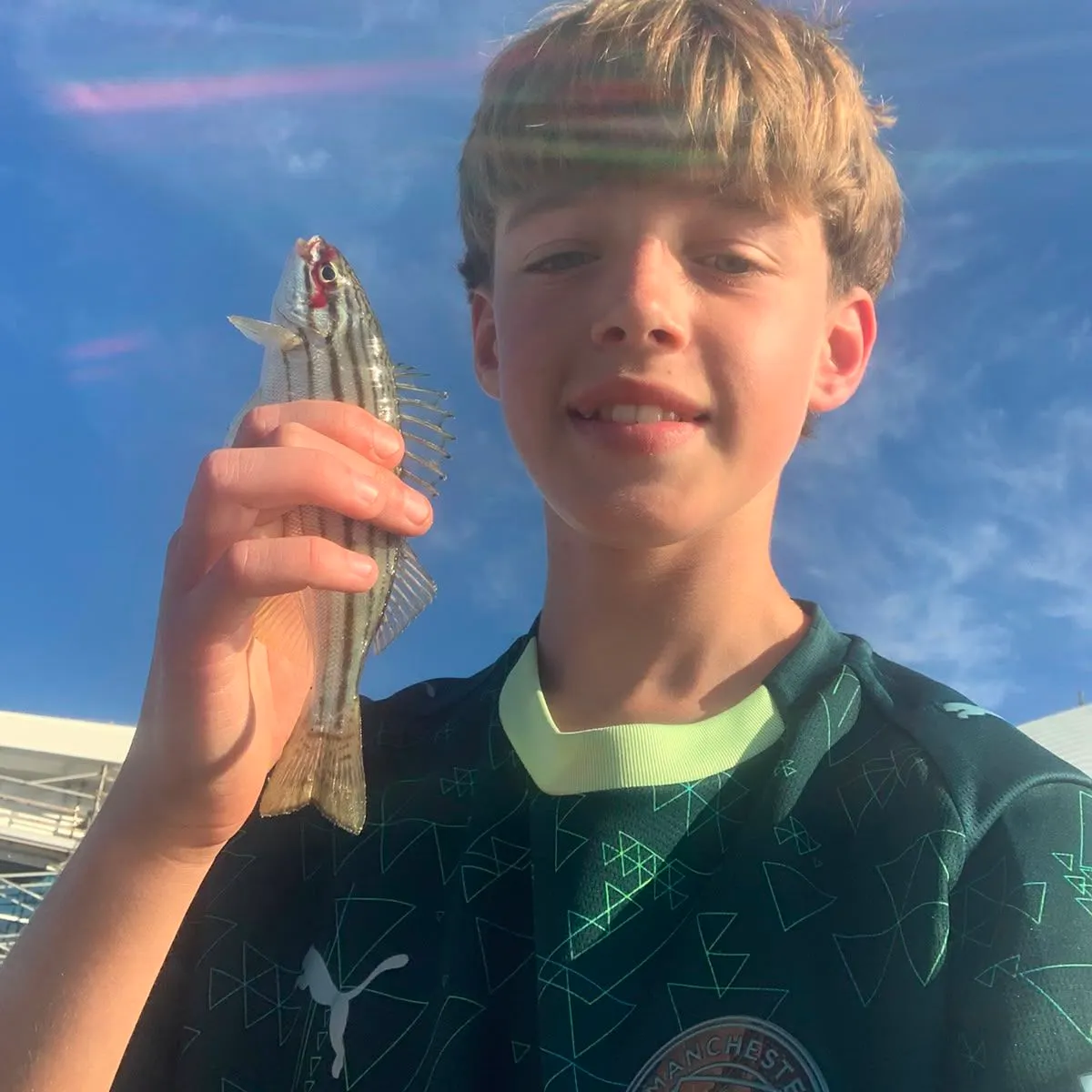The most recent Western striped grunter catches on Fishbrain
