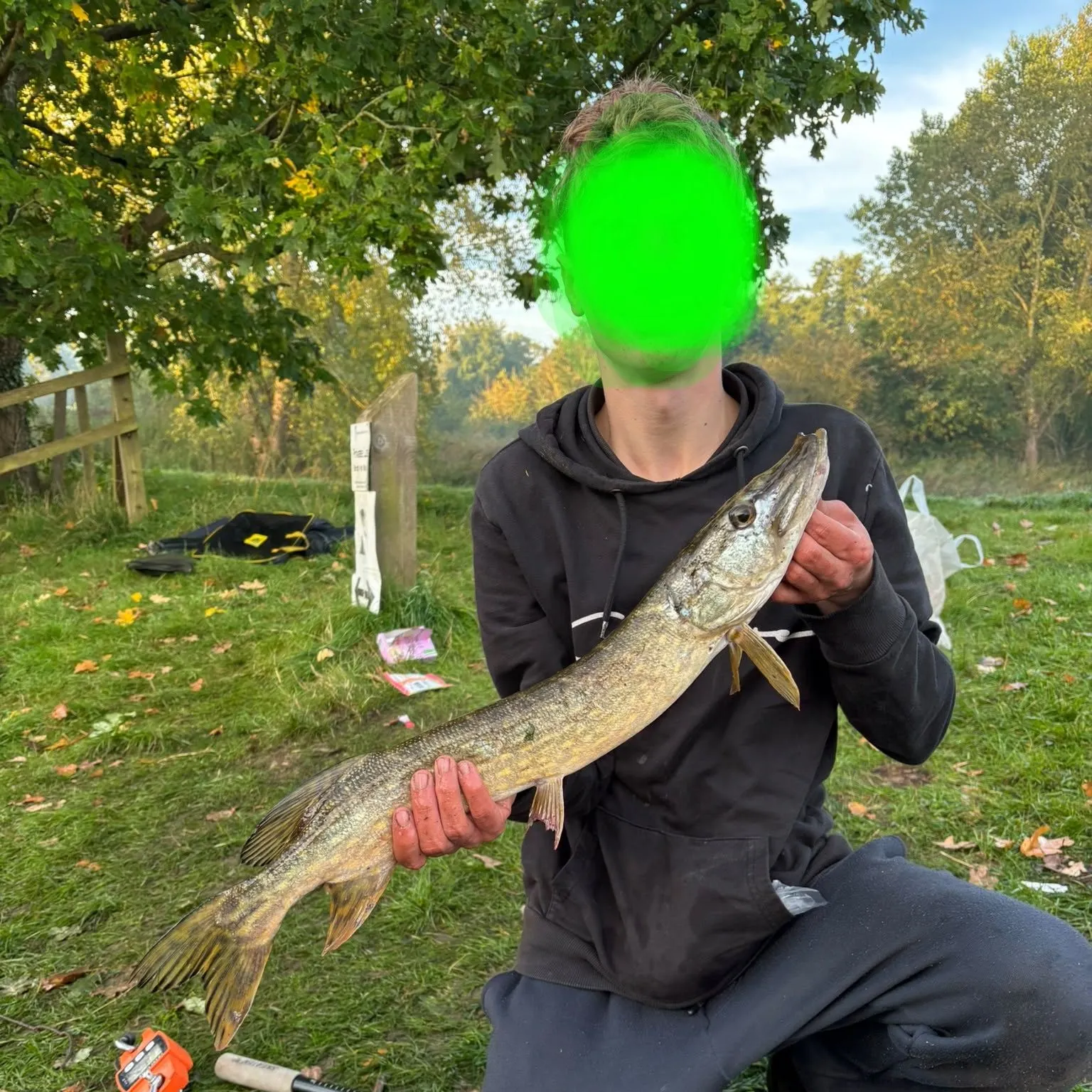 Northern pike caught on Fishbrain