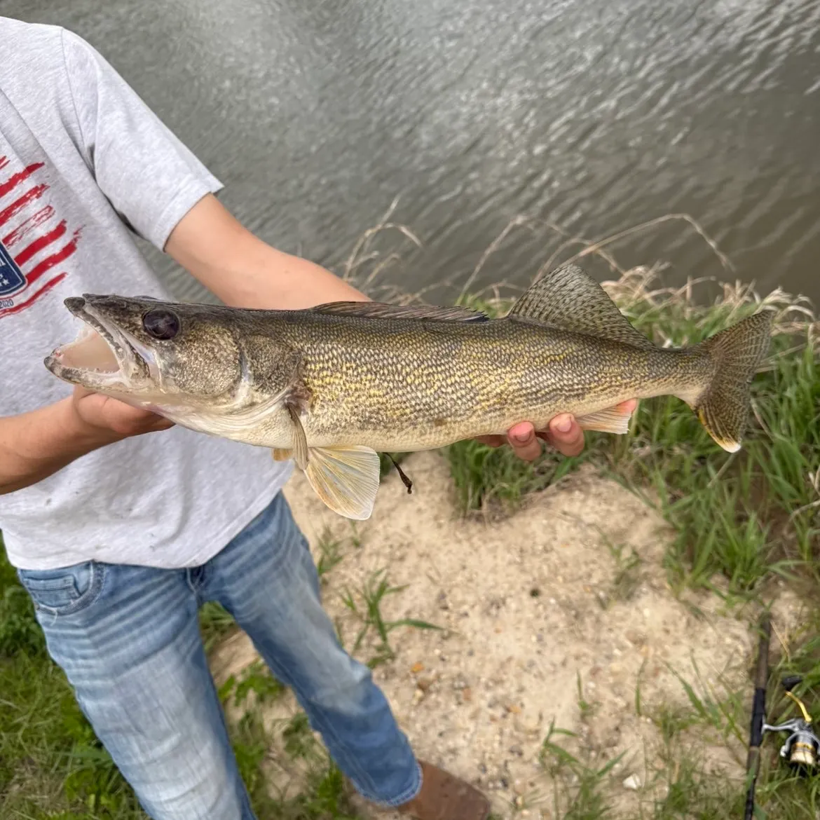 The most recent Saugeye catches on Fishbrain