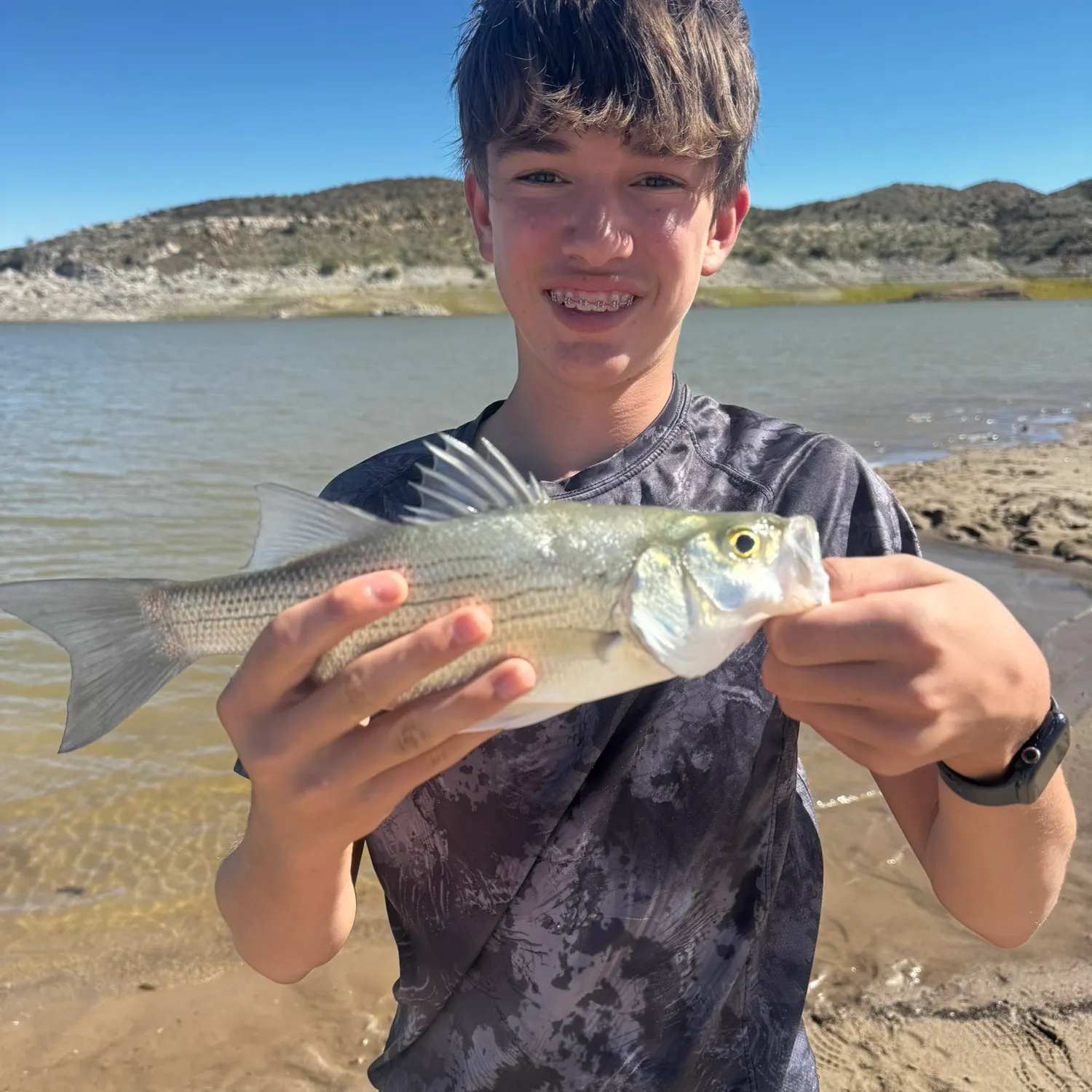 White bass caught on Fishbrain