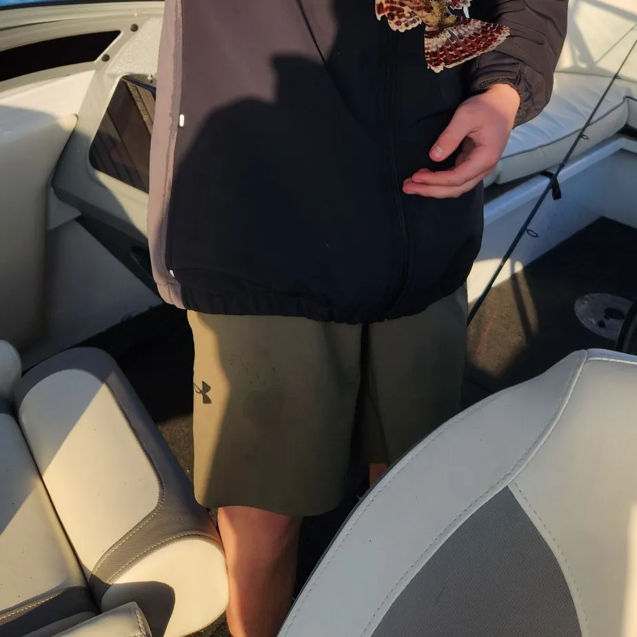 The most recent Yellowbarred red rockfish catches on Fishbrain