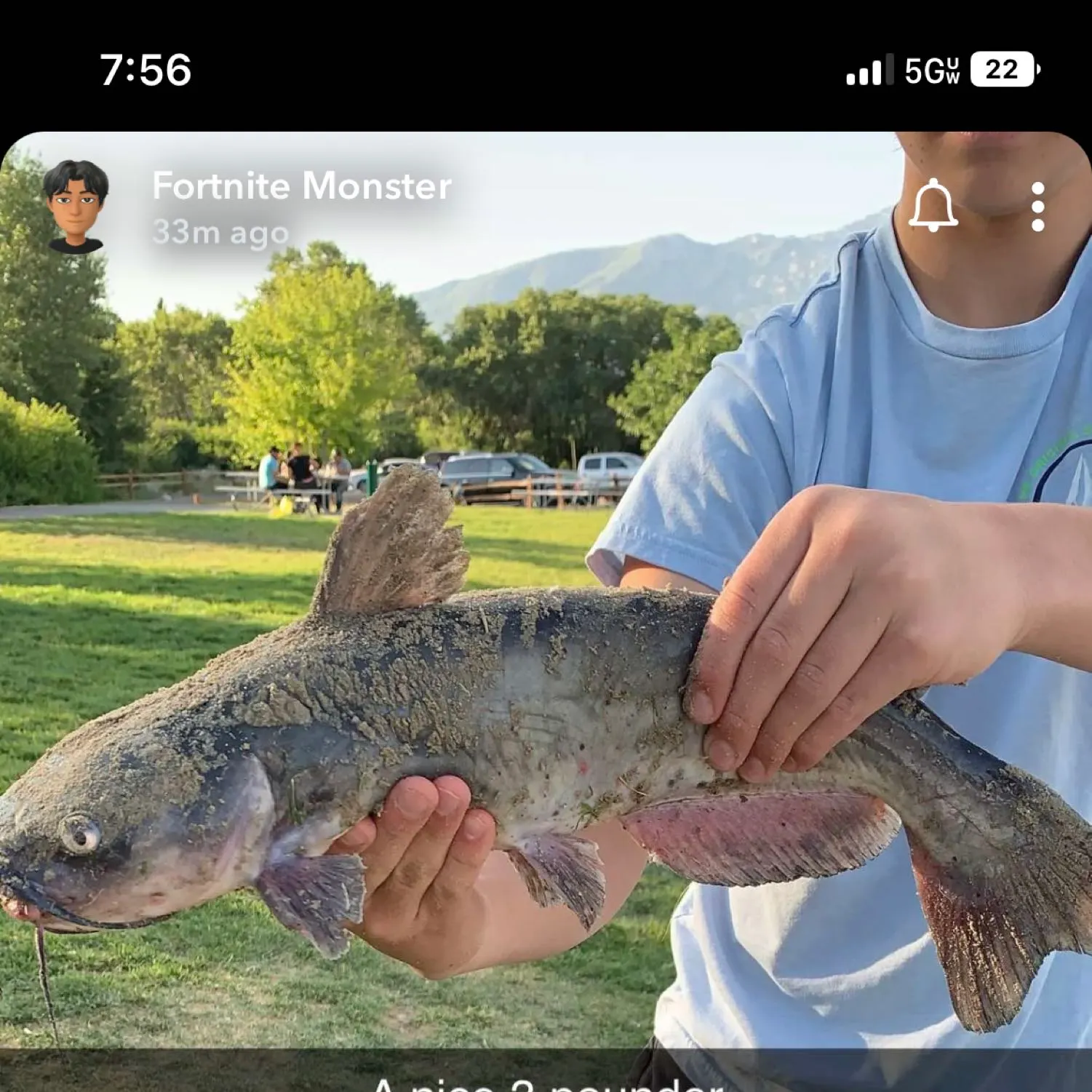 recently logged catches