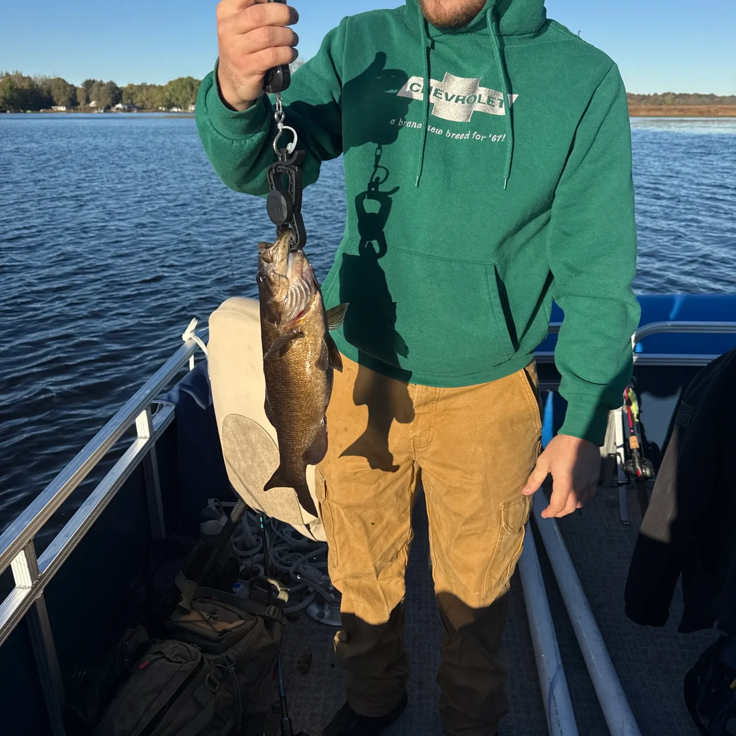 Smallmouth bass caught on Fishbrain