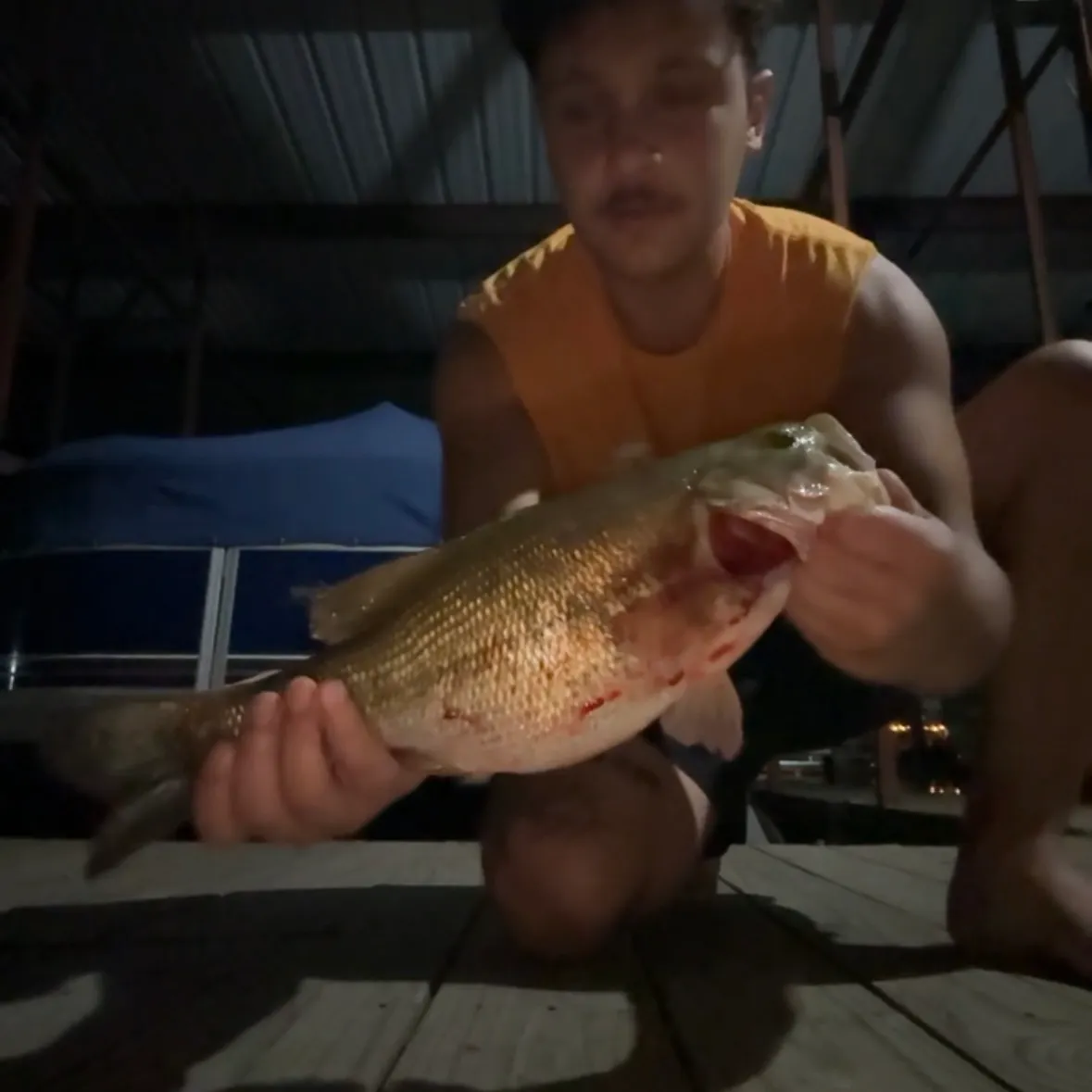 Spotted bass caught on Fishbrain