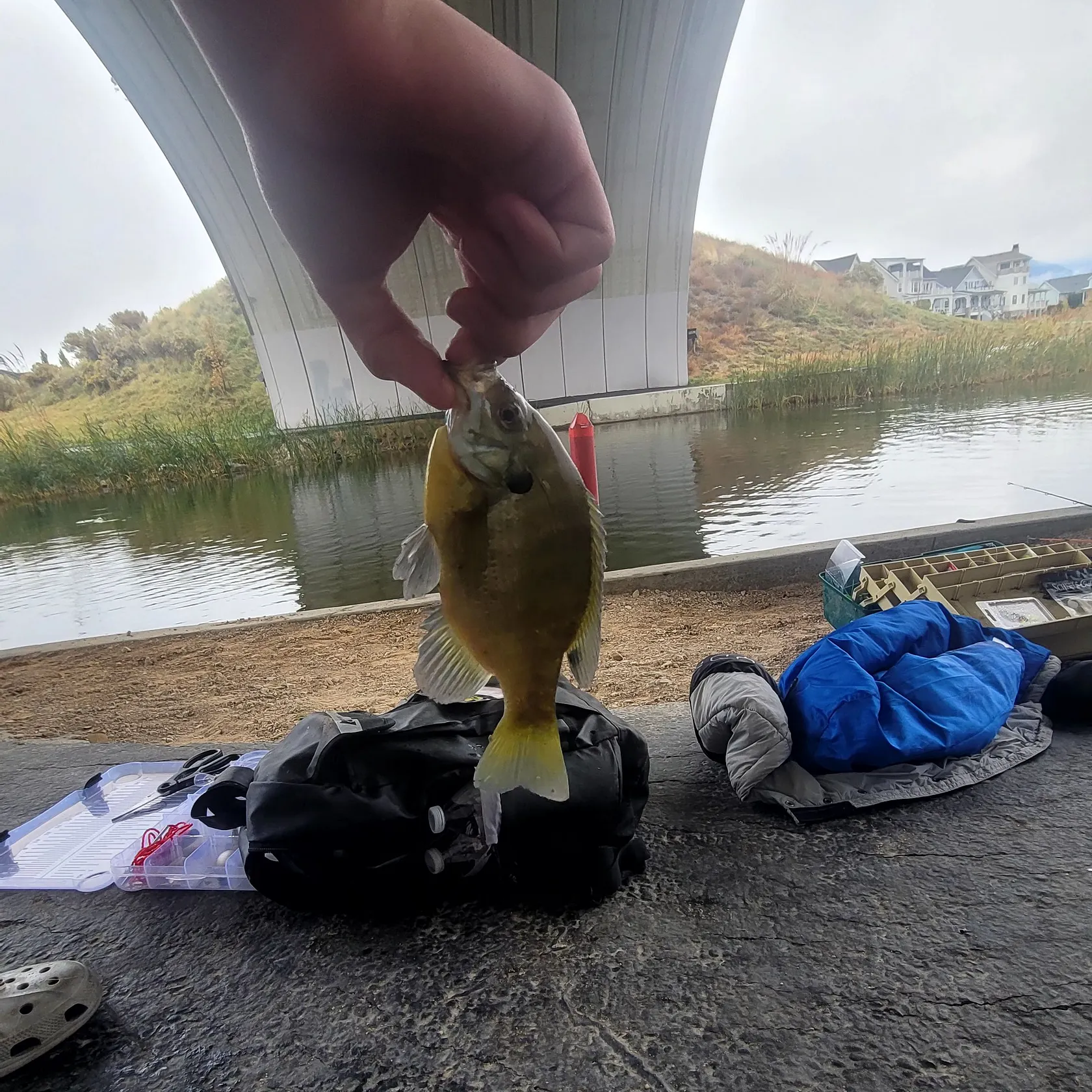 catch
