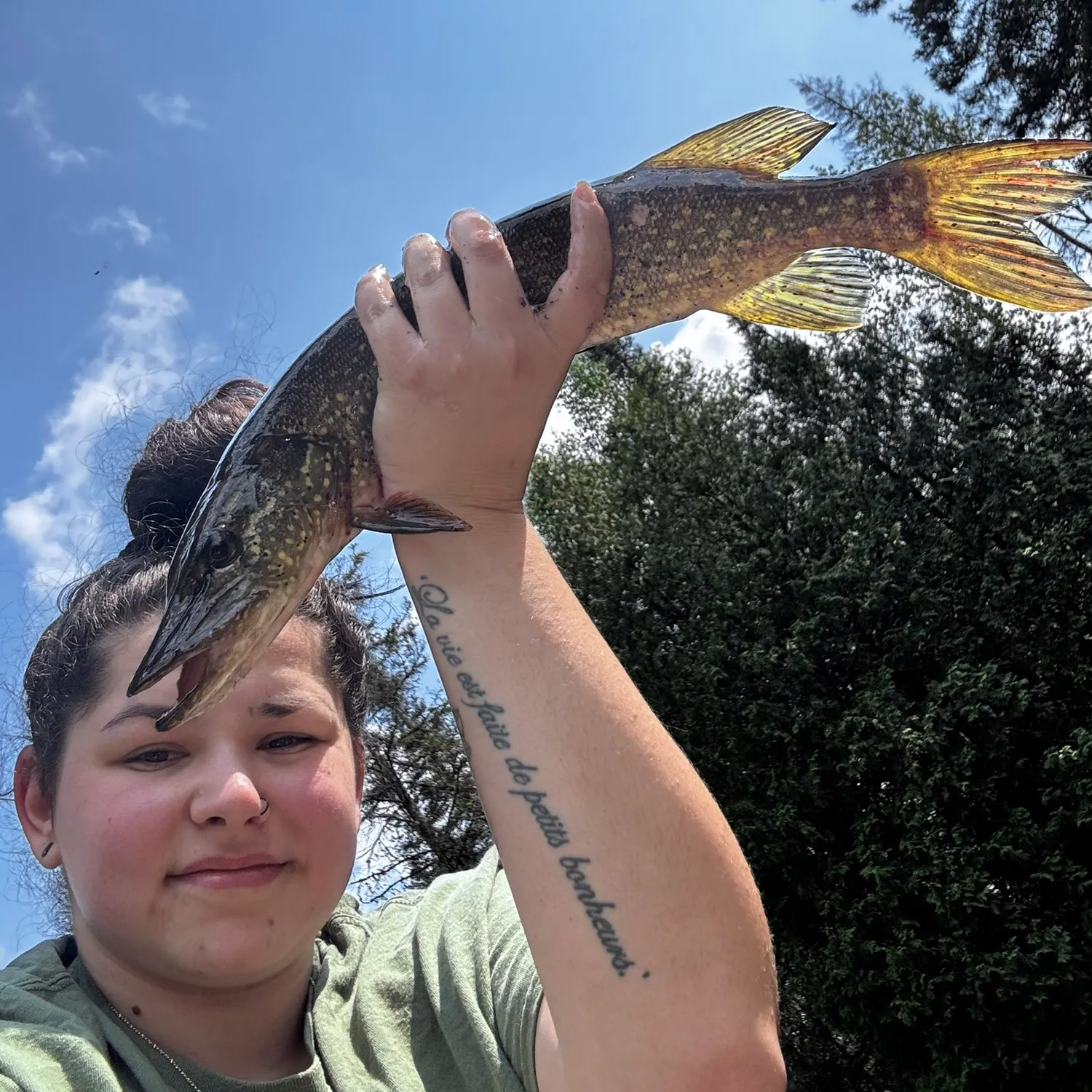 recently logged catches