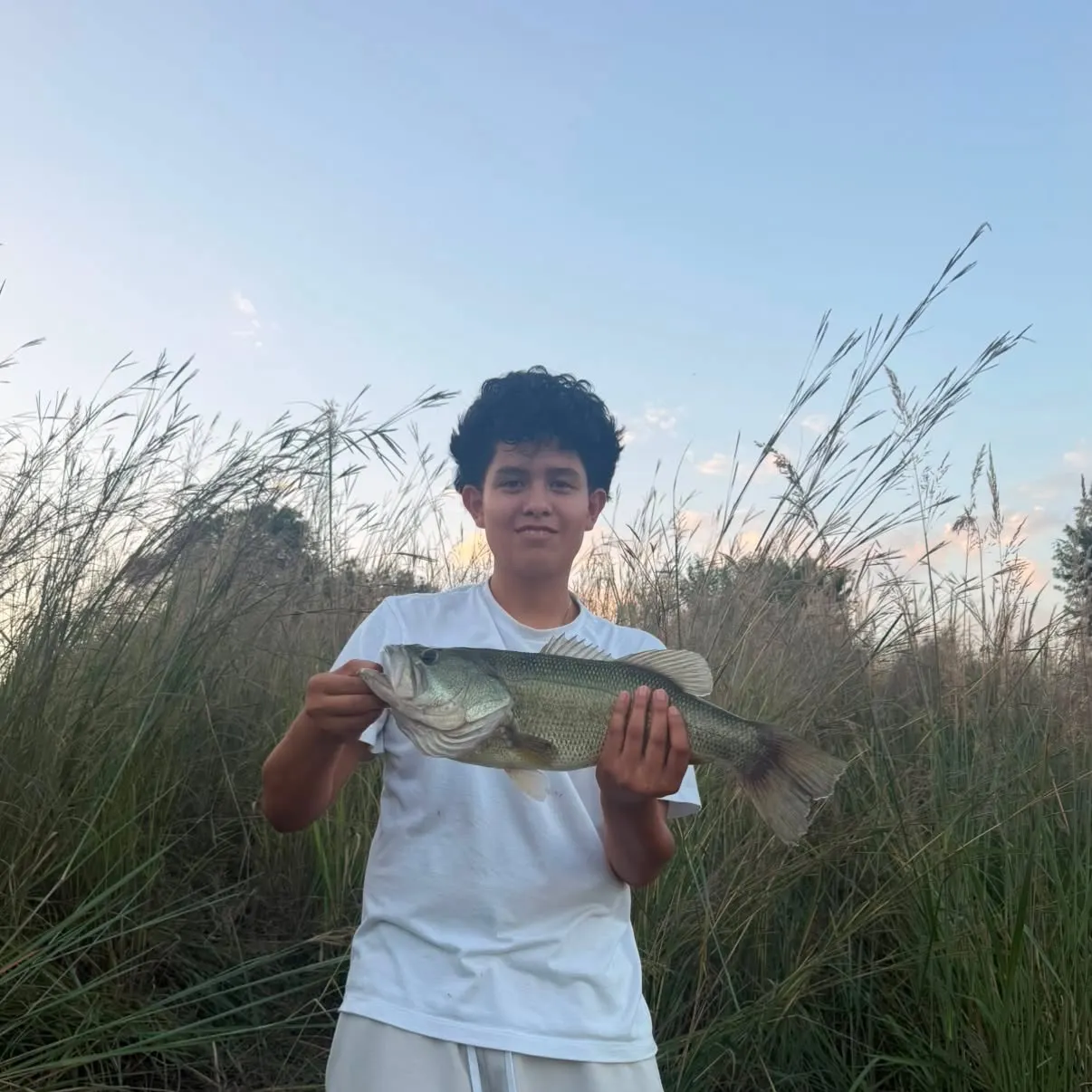 Fish caught on Fishbrain