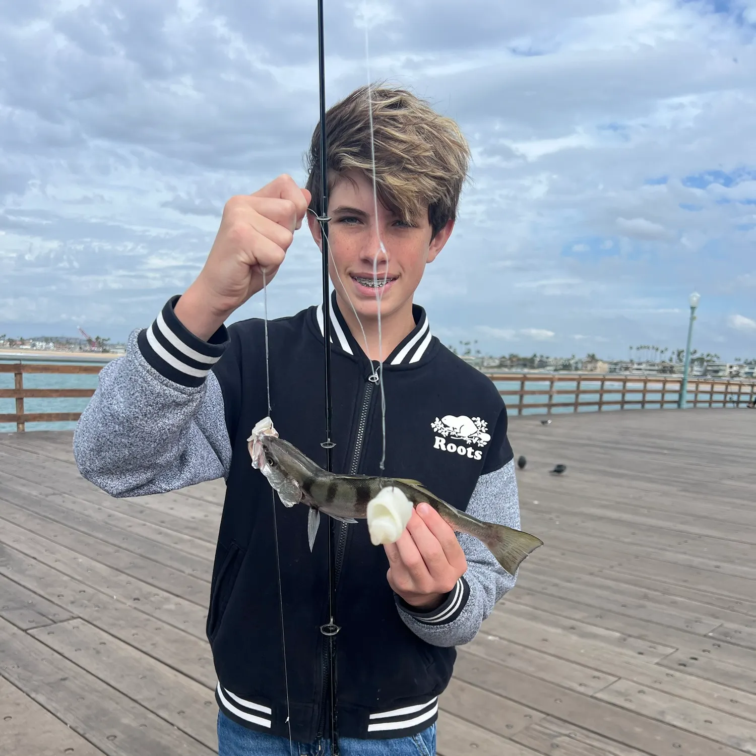 Kelp bass caught on Fishbrain