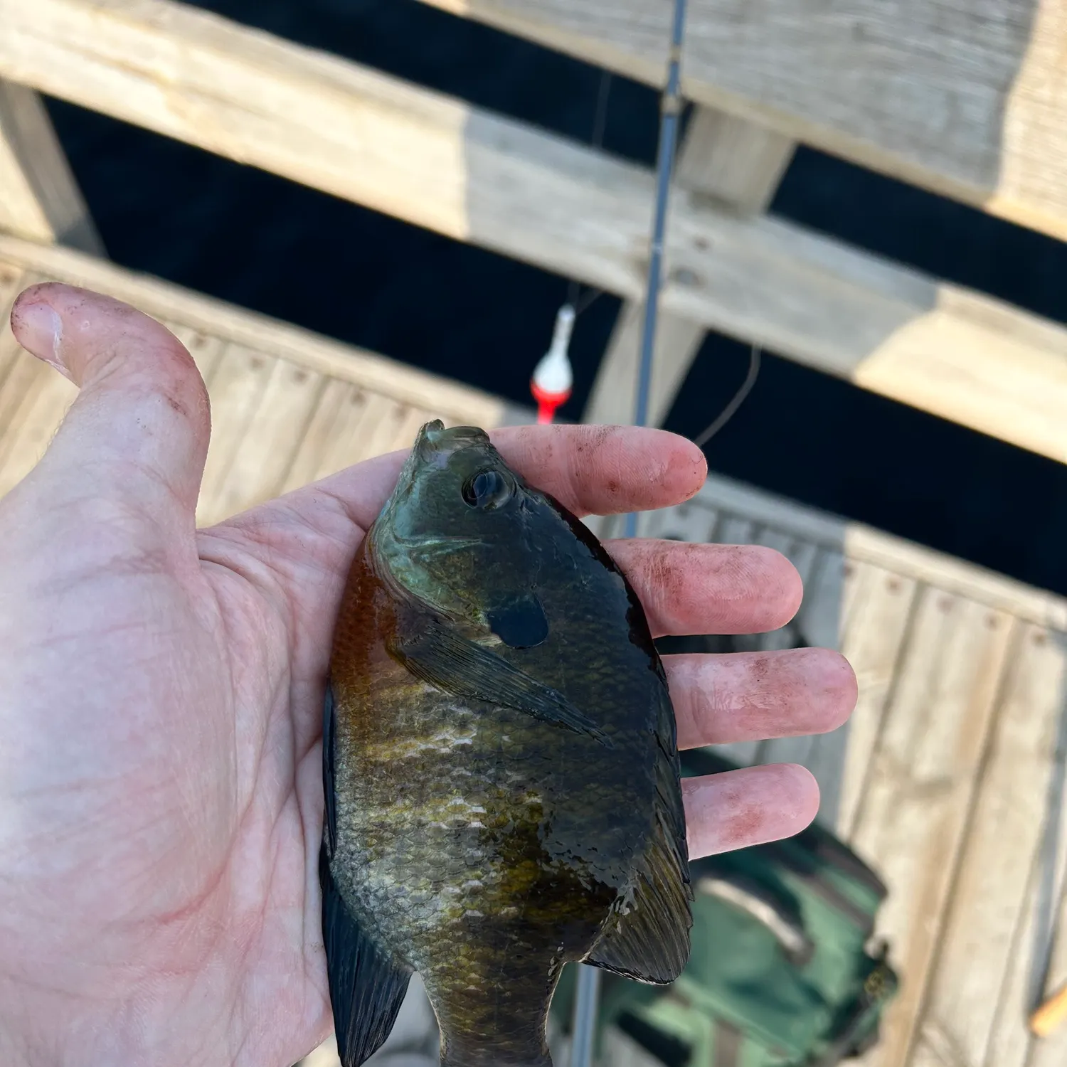 catch