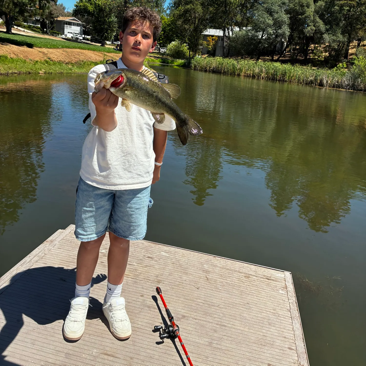 Largemouth bass caught on Fishbrain