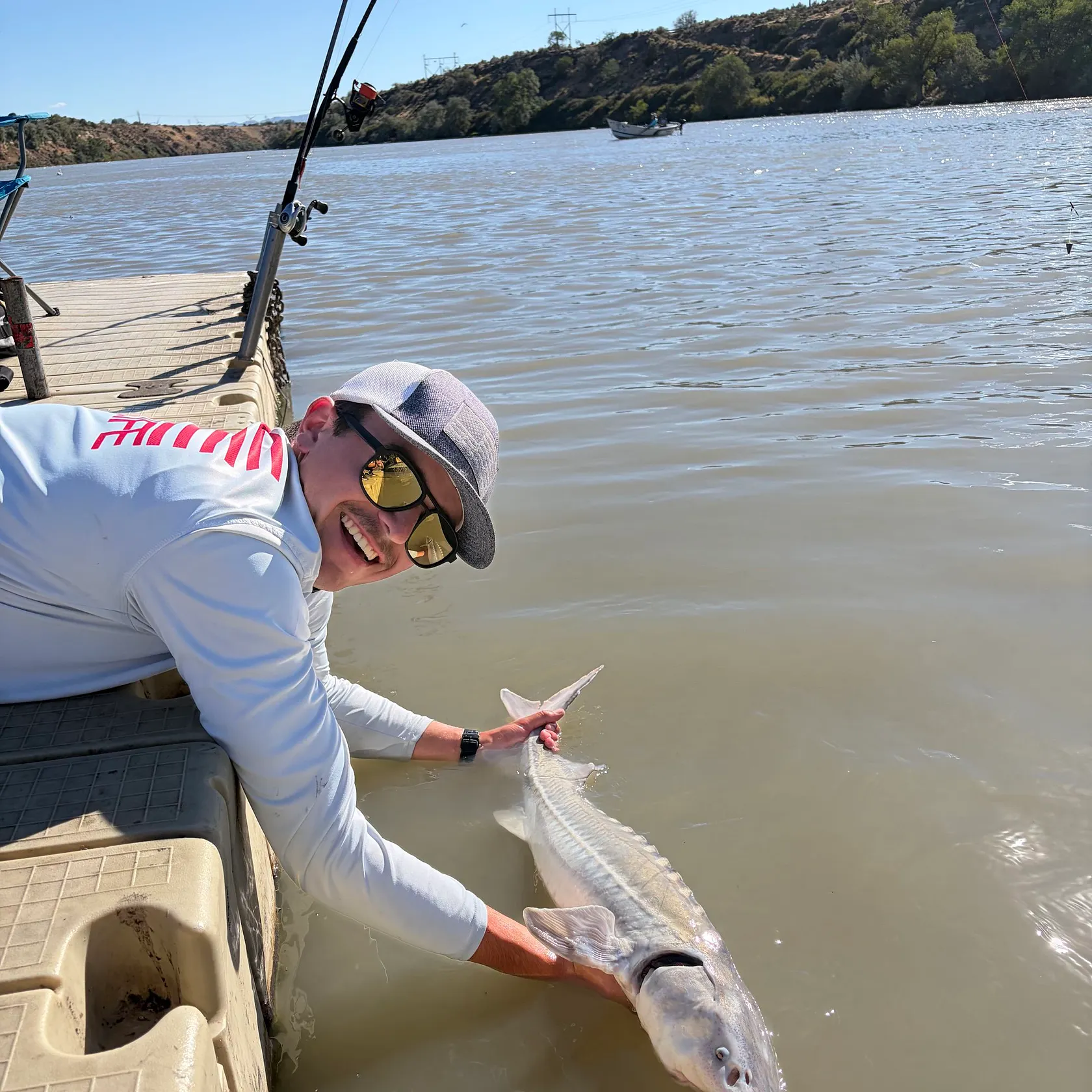 White sturgeon caught on Fishbrain