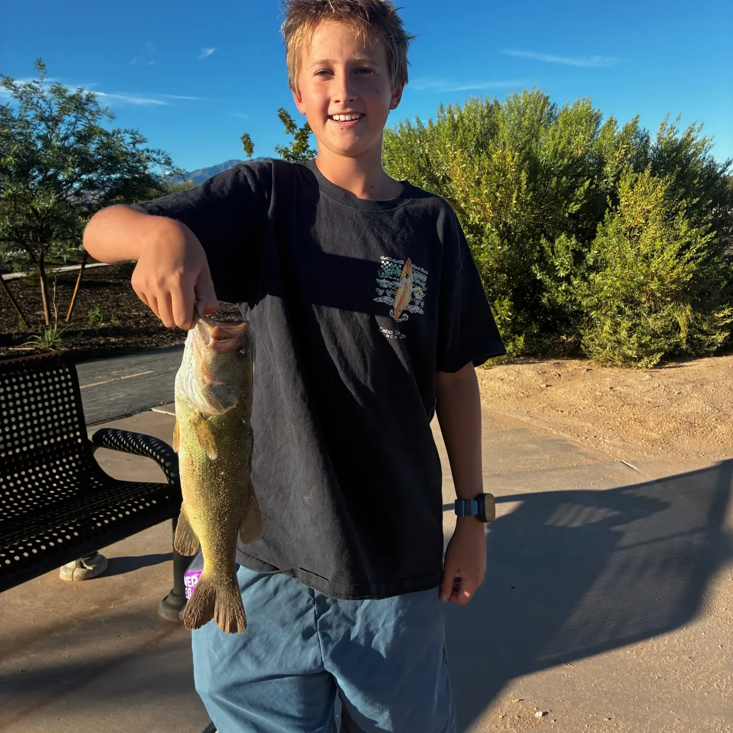 Largemouth bass caught on Fishbrain